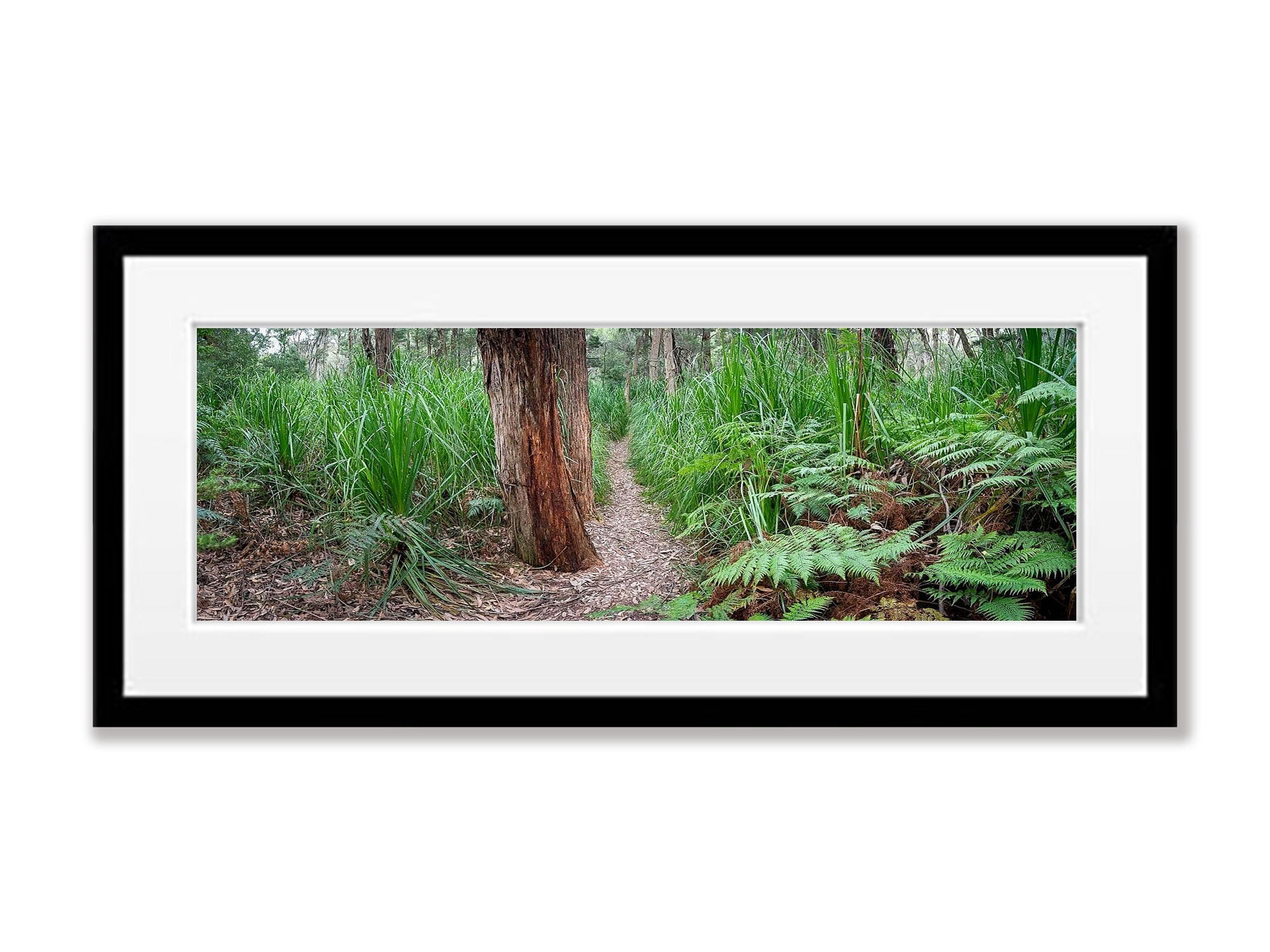 Refuge Walkway - Wilson's Promontory VIC