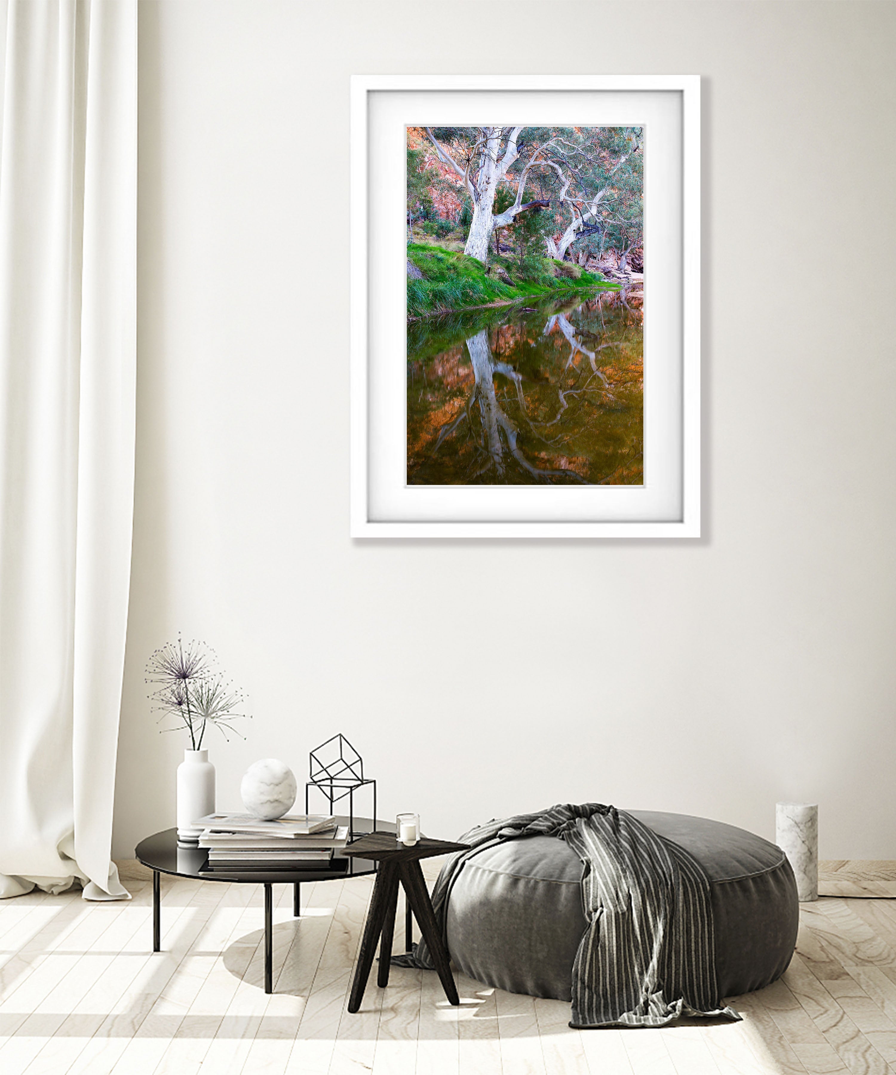 River Red Gum Reflection, West MacDonnell Ranges - Northern Territory