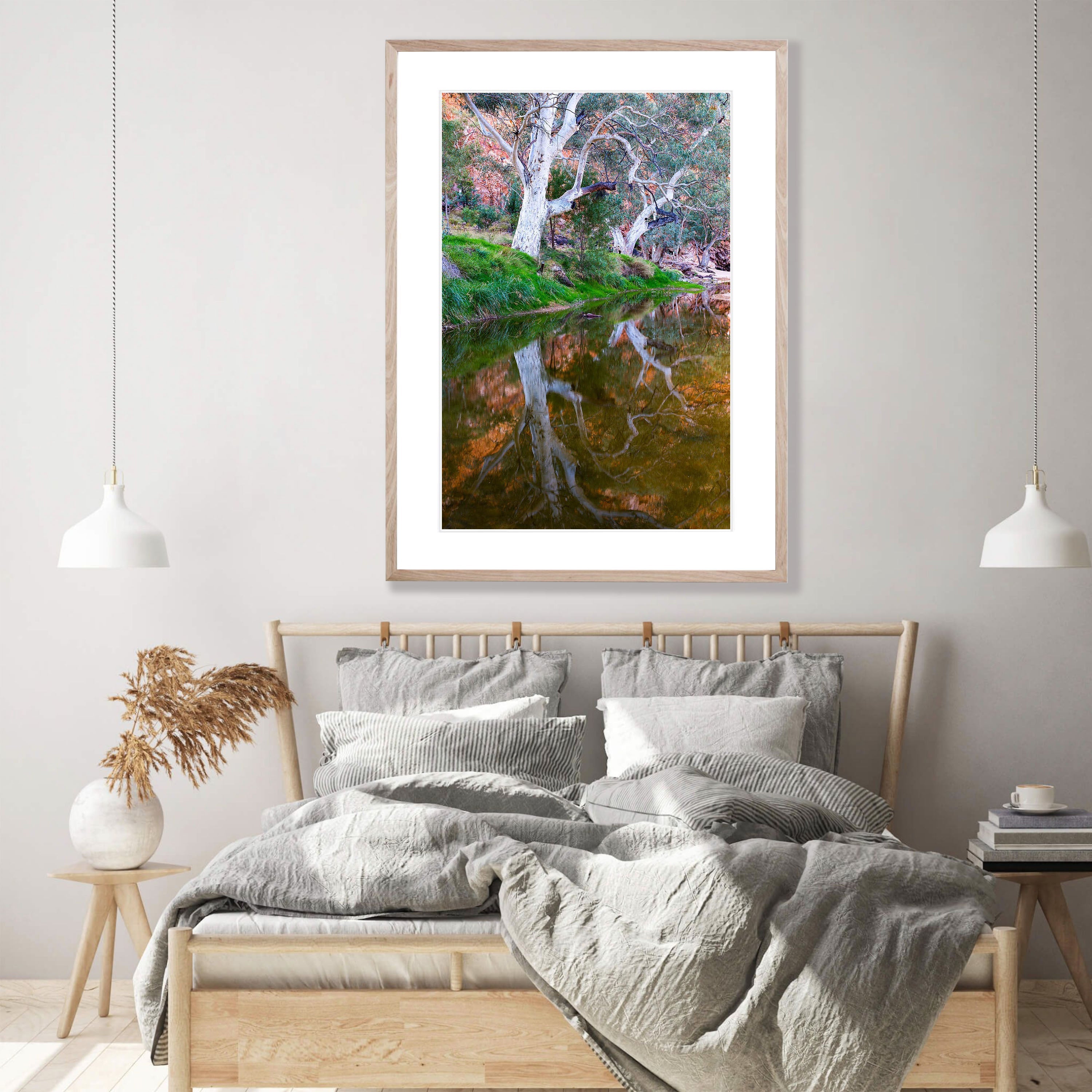 River Red Gum Reflection, West MacDonnell Ranges - Northern Territory