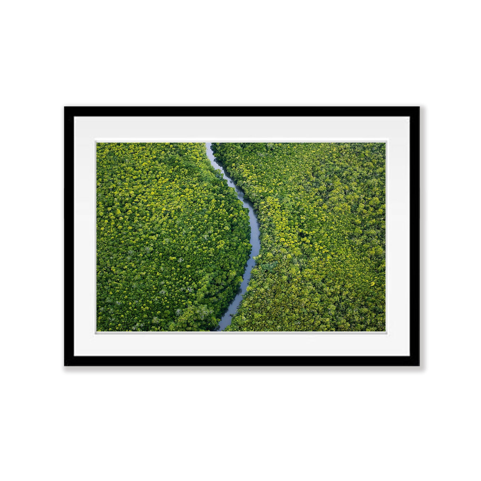 River Ribbon cuts through the mangroves, Daintree River, Far North Queensland