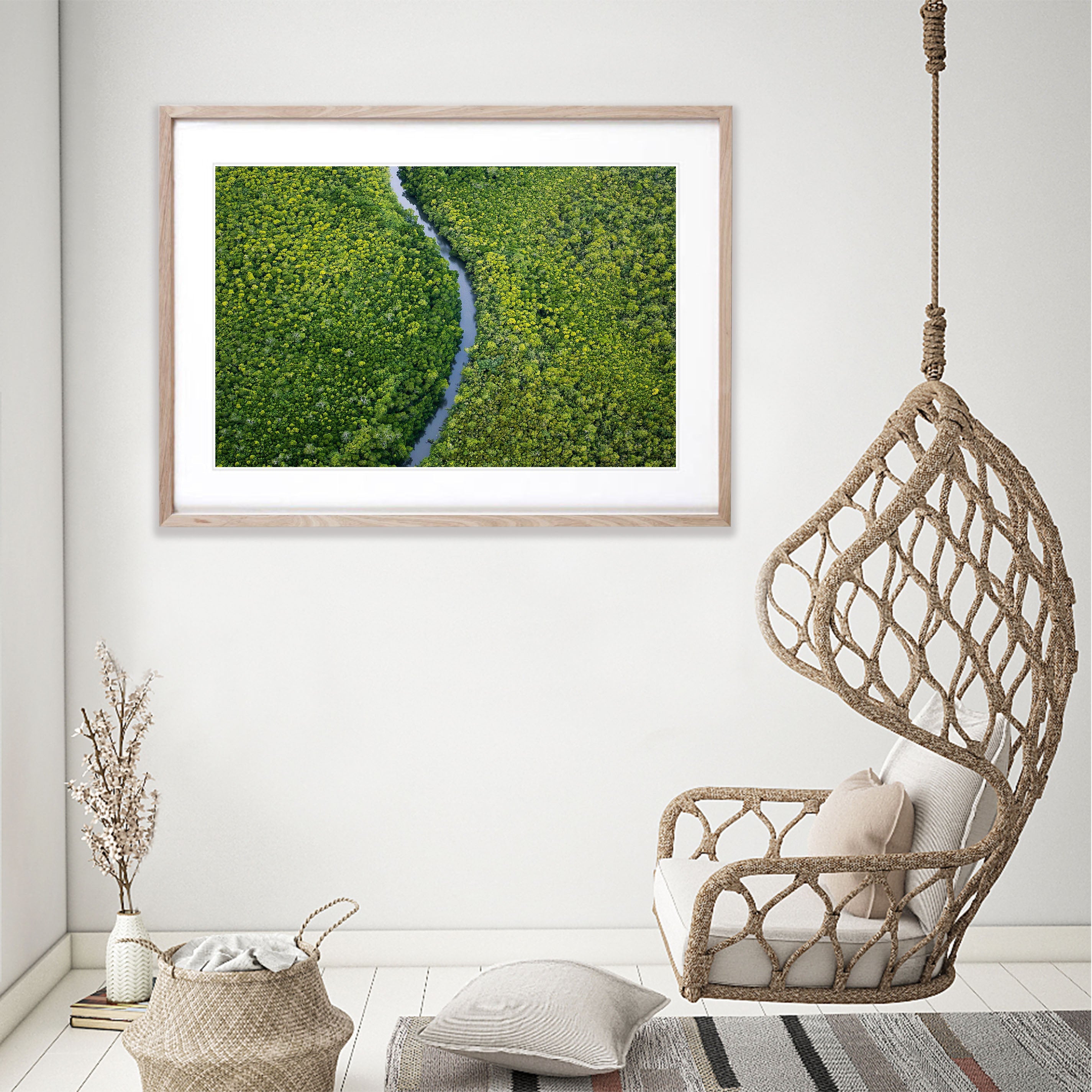 River Ribbon cuts through the mangroves, Daintree River, Far North Queensland