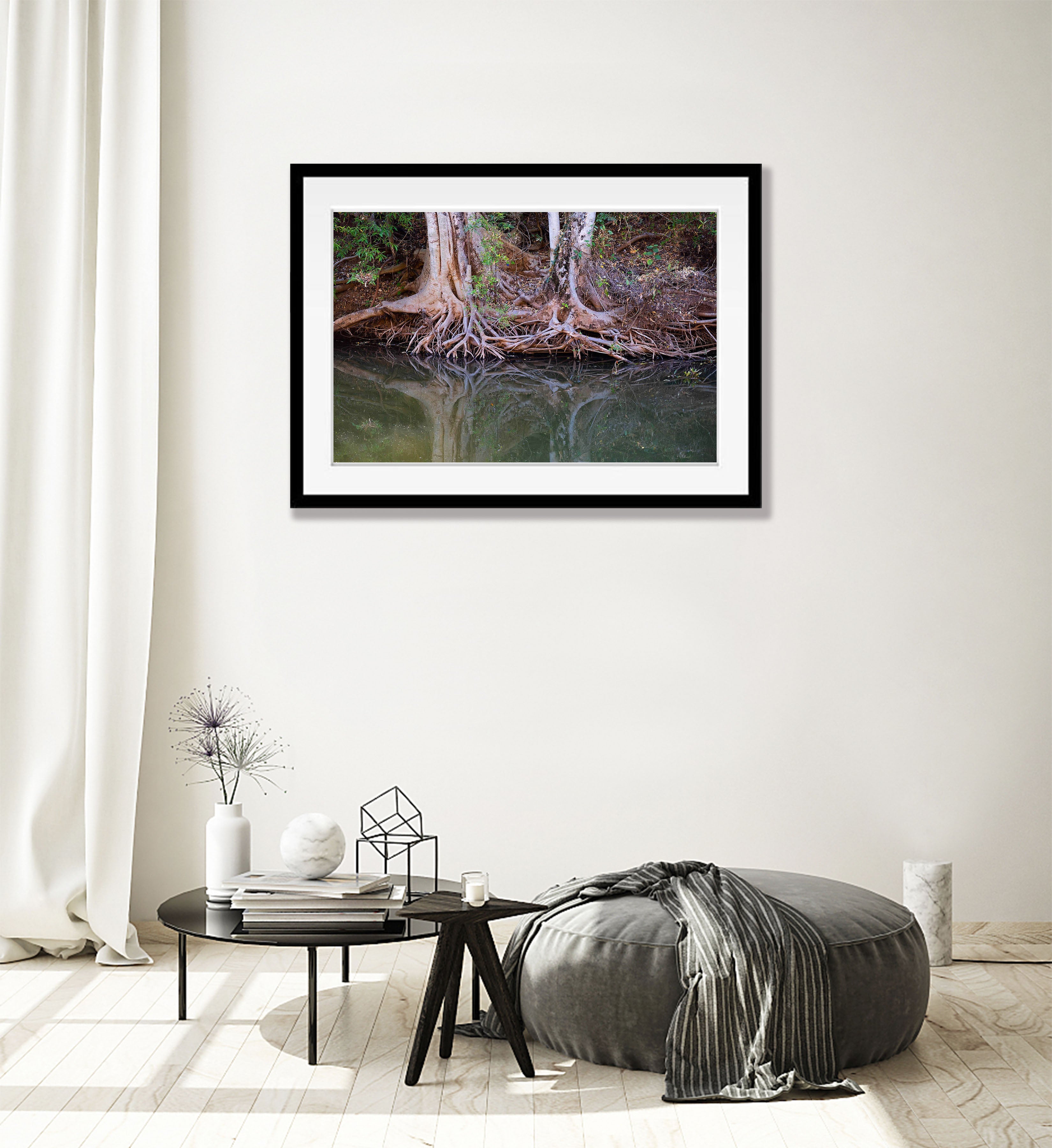 Riverbank Tree Roots, Ord River, The Kimberley, Western Australia