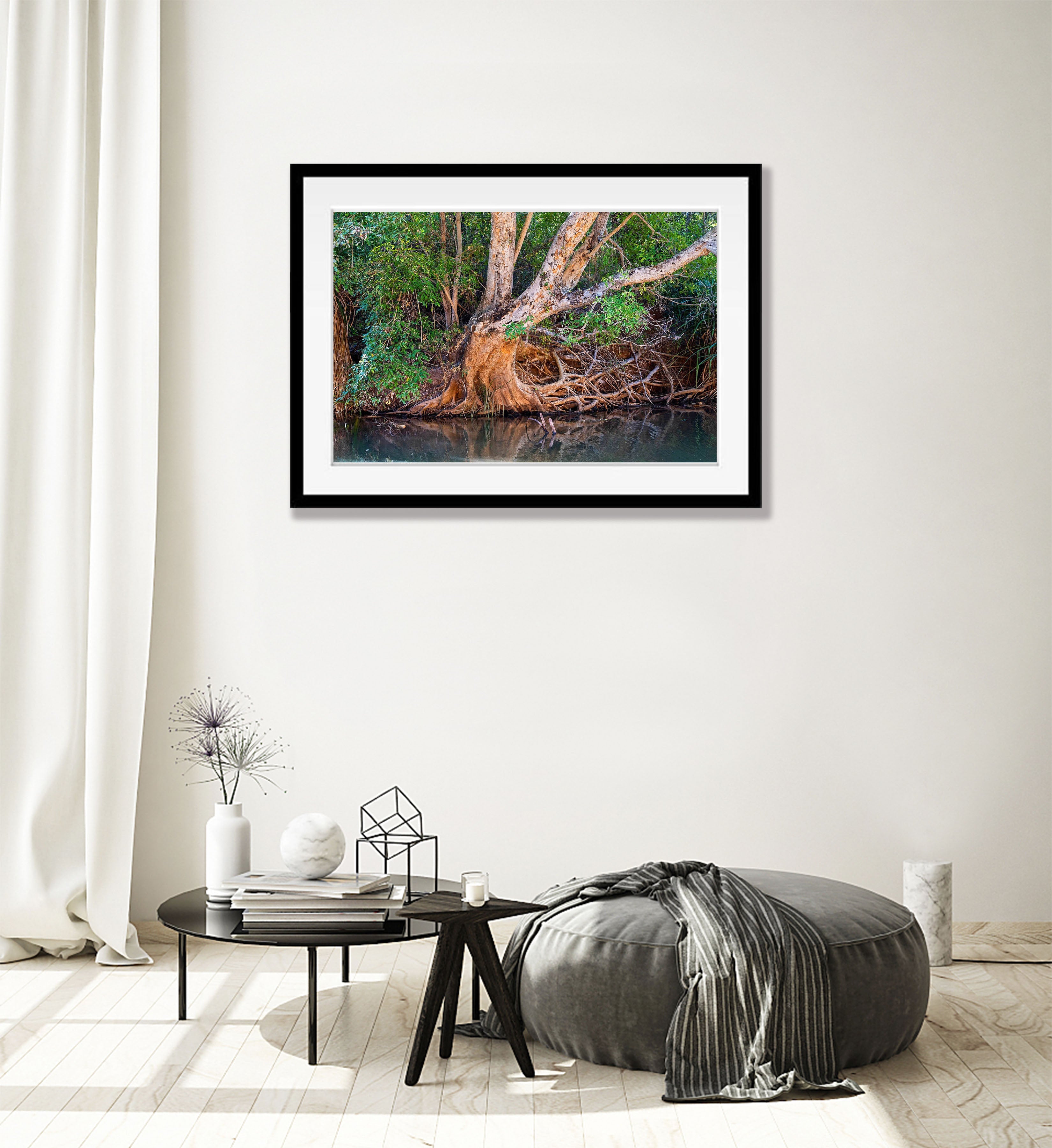 Riverside Tree, Ord River, The Kimberley, Western Australia