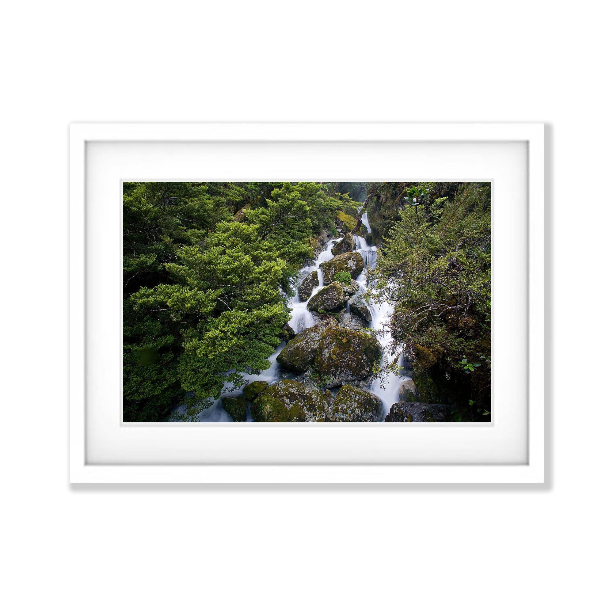 Roaring Creek, Routeburn Track - New Zealand