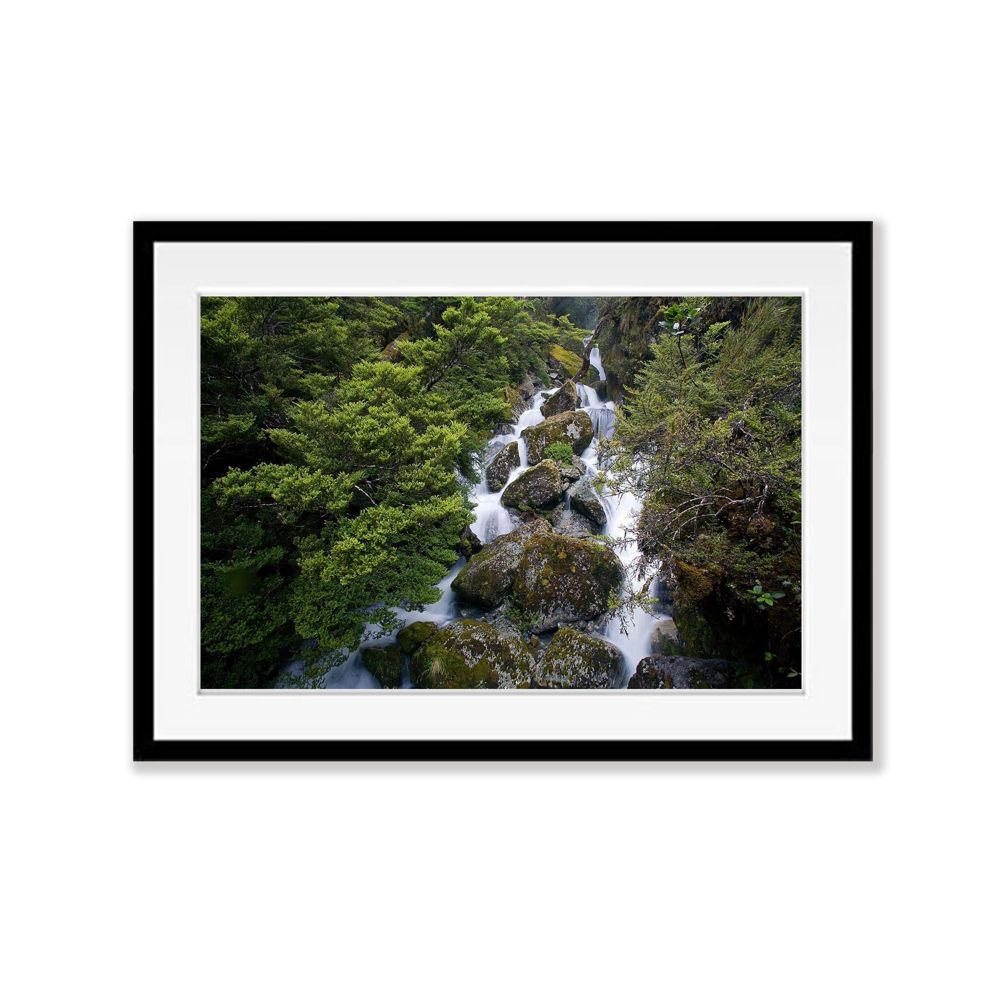 Roaring Creek, Routeburn Track - New Zealand