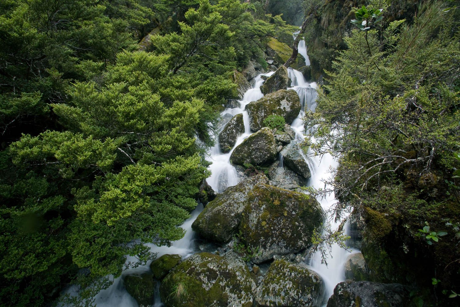 Long waterfall from a green mound in a small lake, Roaring Creek, Routeburn Track - New Zealand