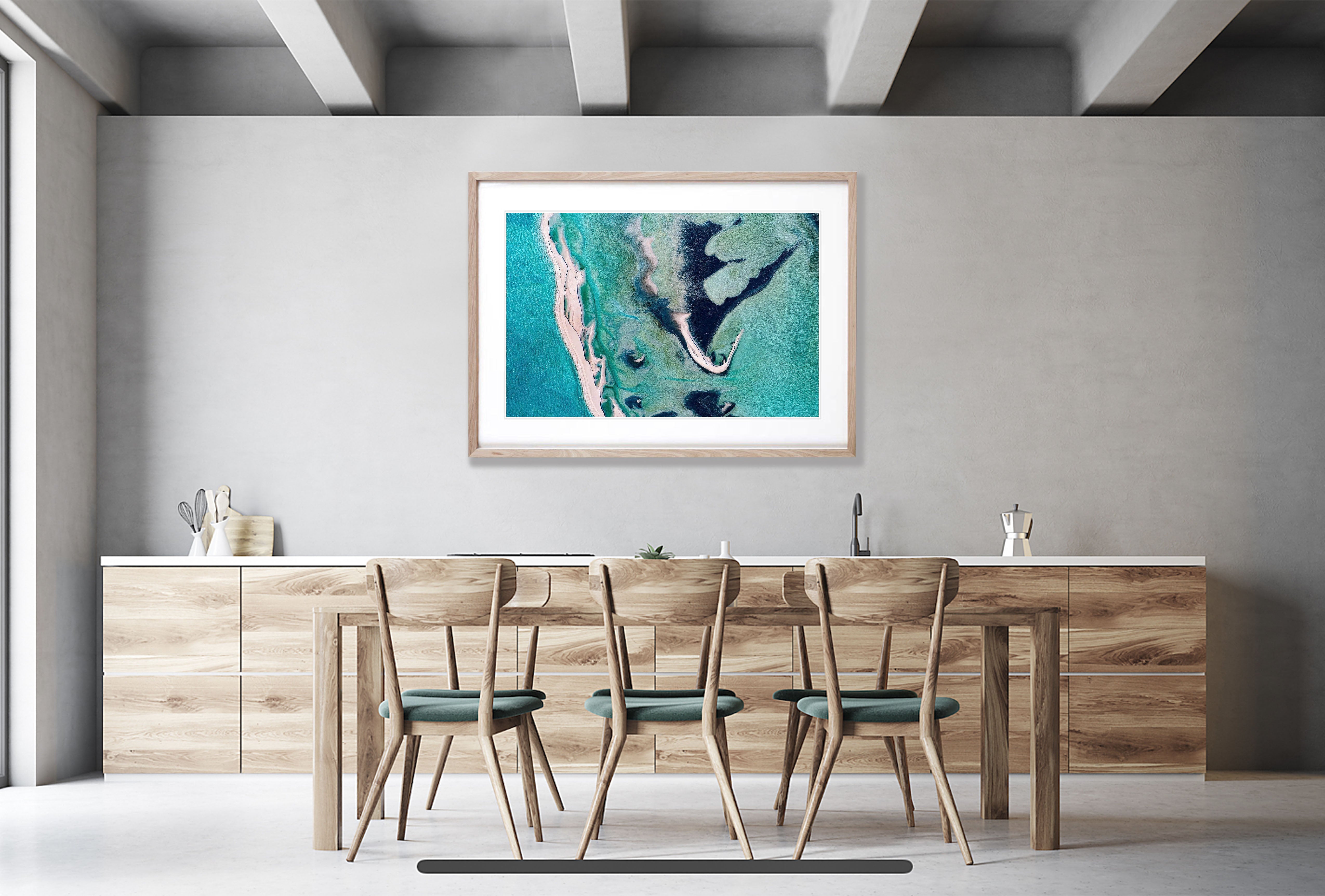 Screaming Dragon, Shark Bay, WA