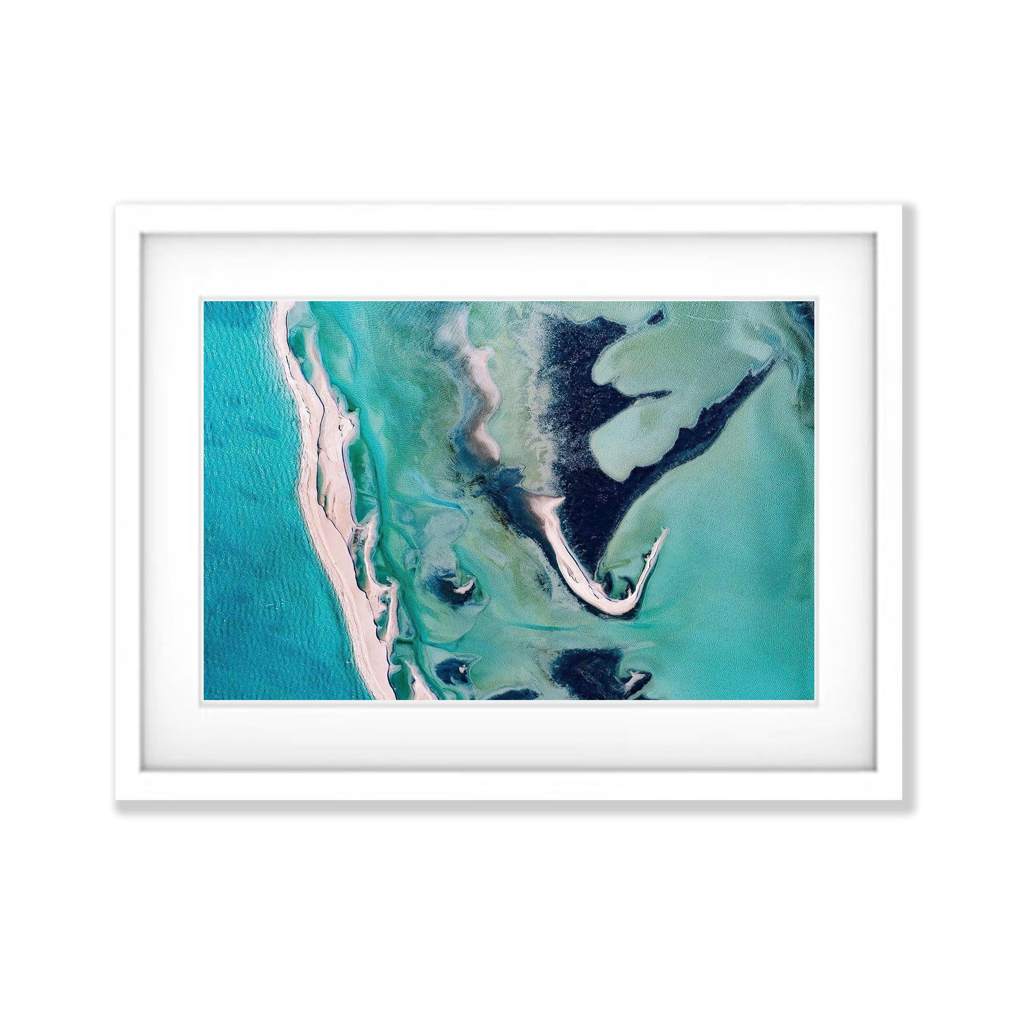 Screaming Dragon, Shark Bay, WA