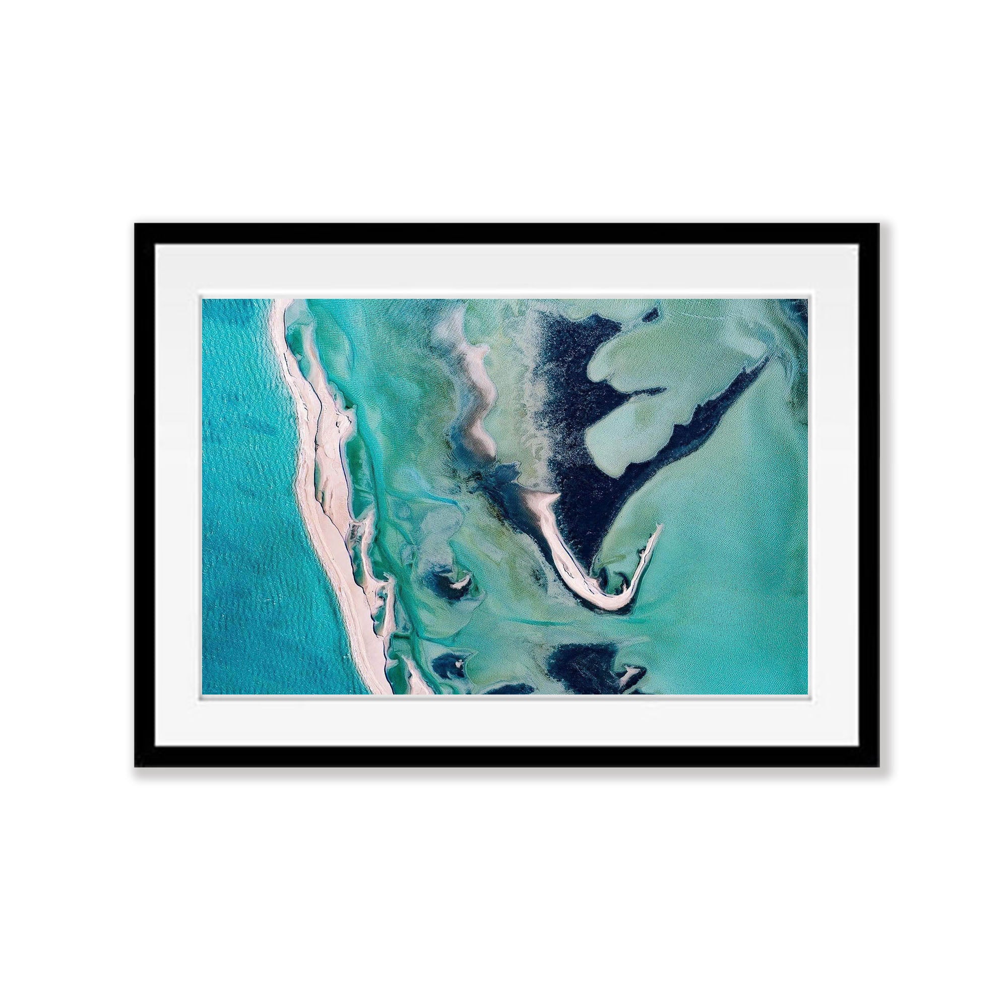 Screaming Dragon, Shark Bay, WA