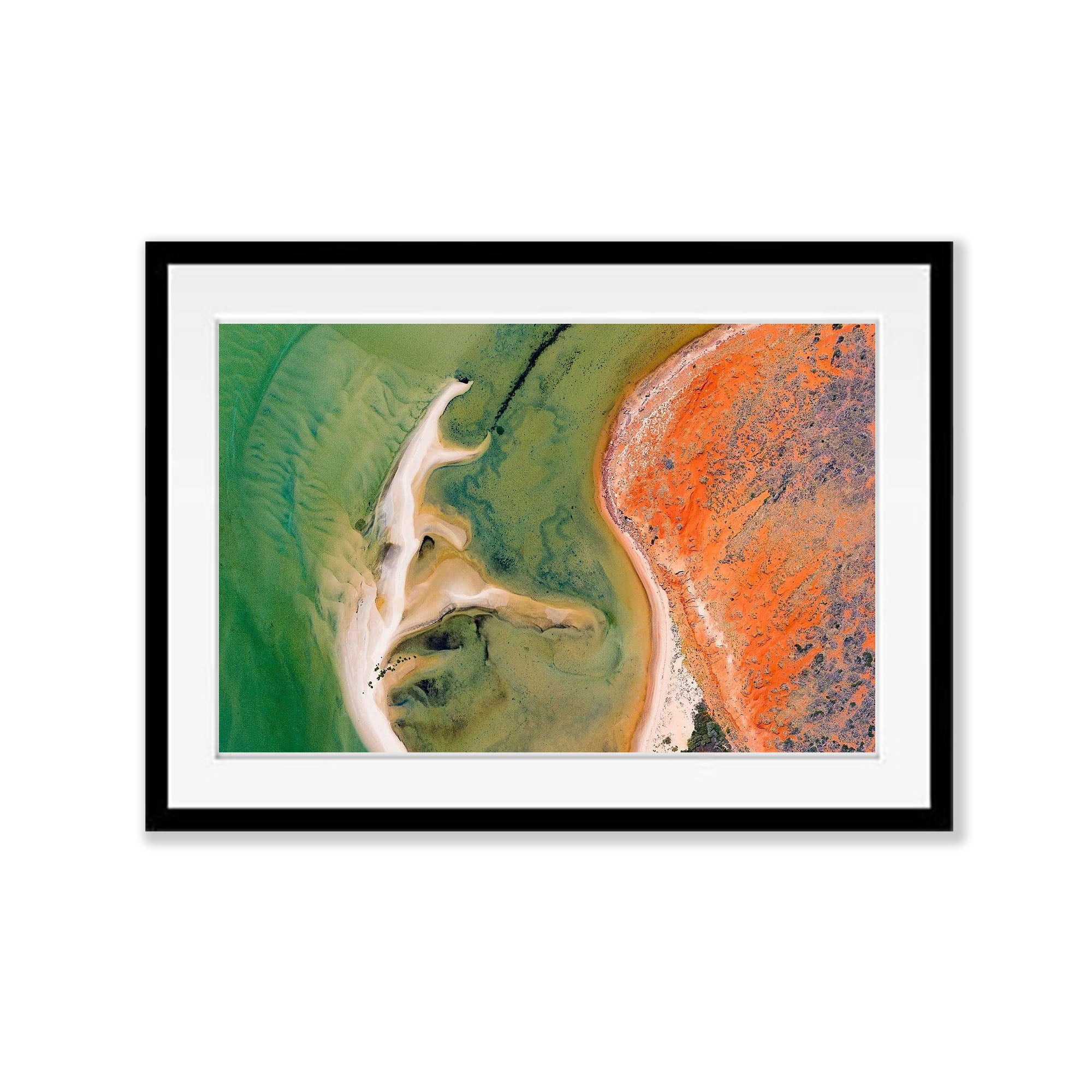 Screaming, Shark Bay, WA