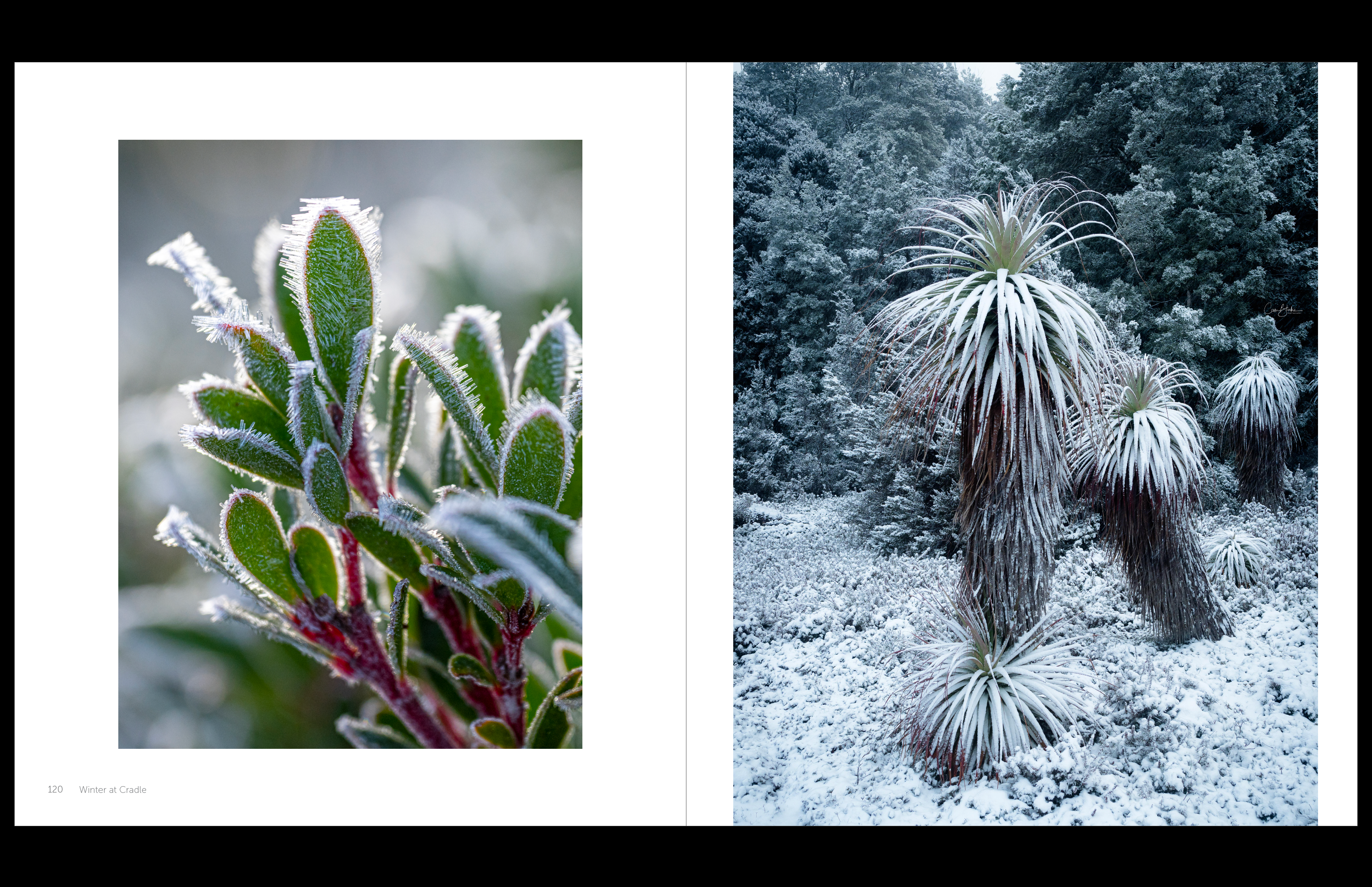 Cradle Mountain & The Overland Track book QR