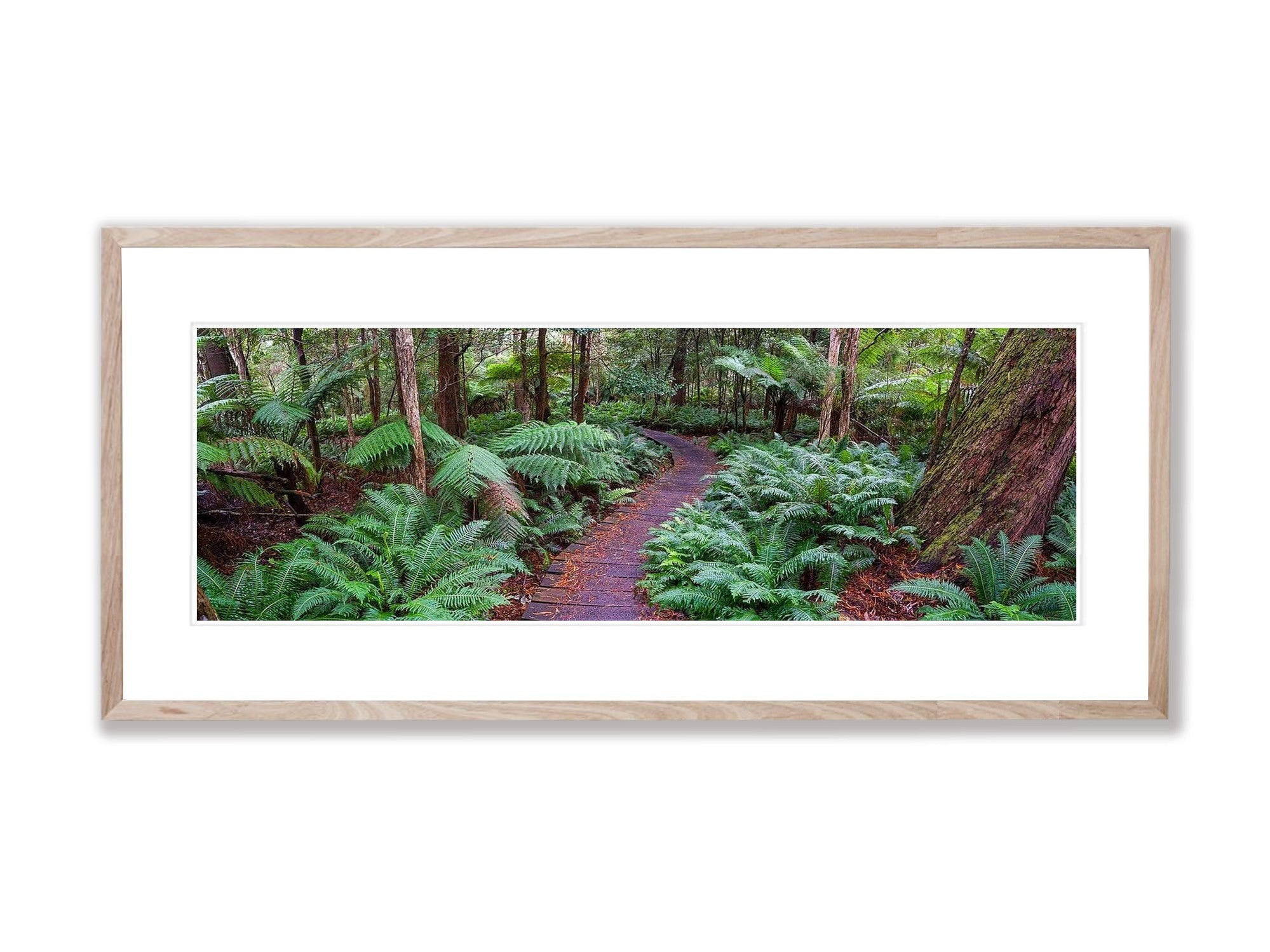 Sealers - Wilson's Promontory VIC