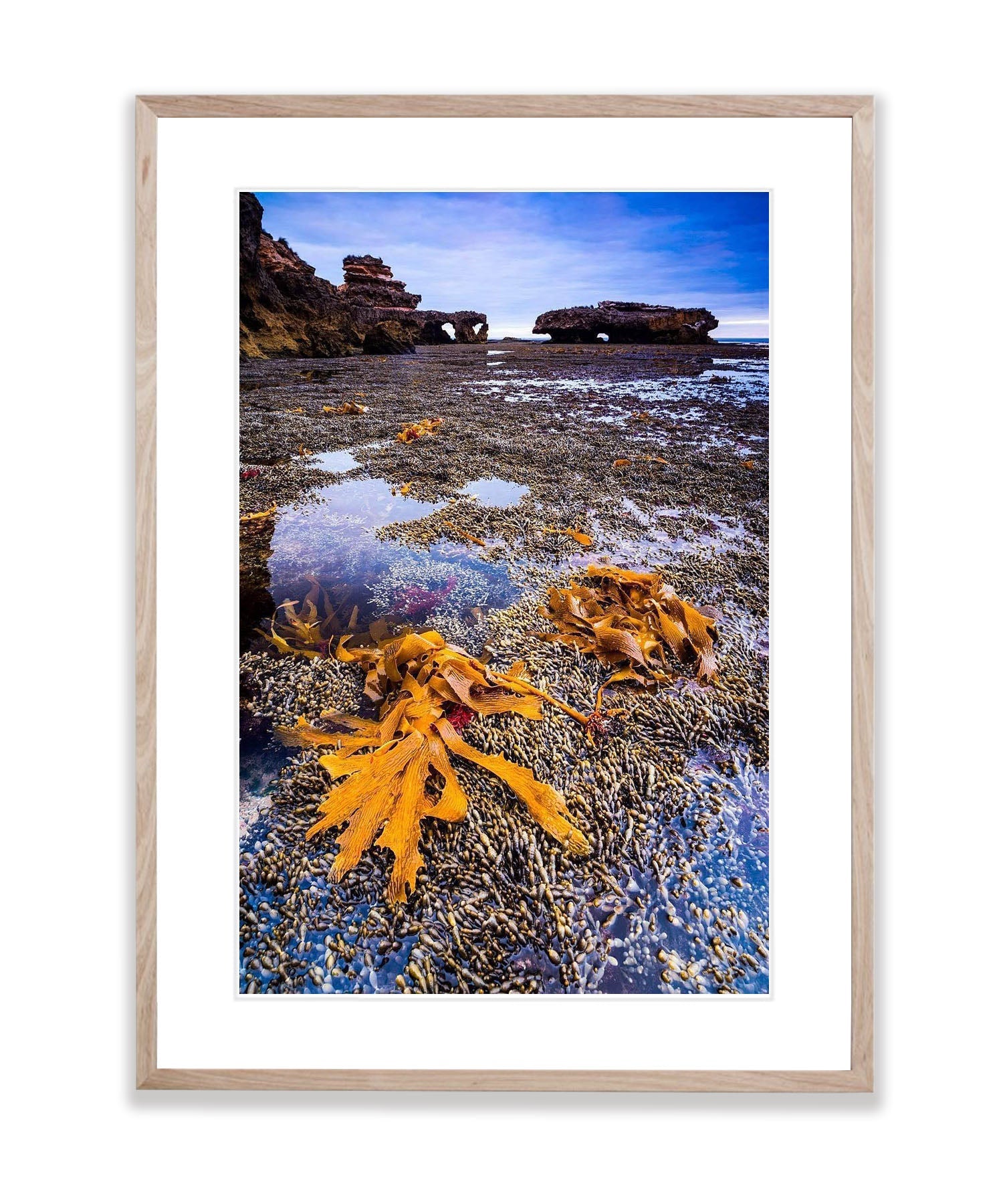 Seaweed, Mornington Peninsula, VIC