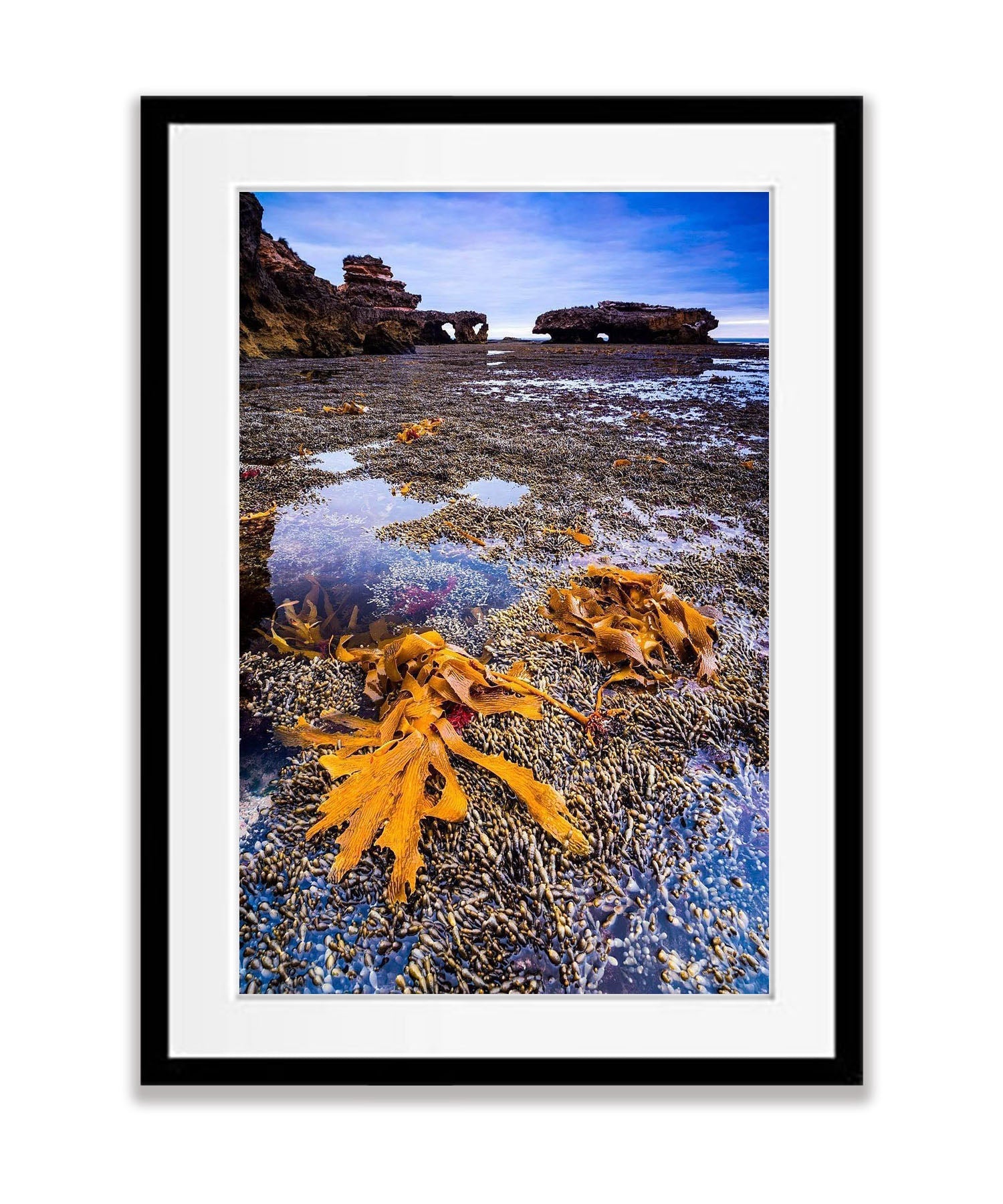 Seaweed, Mornington Peninsula, VIC