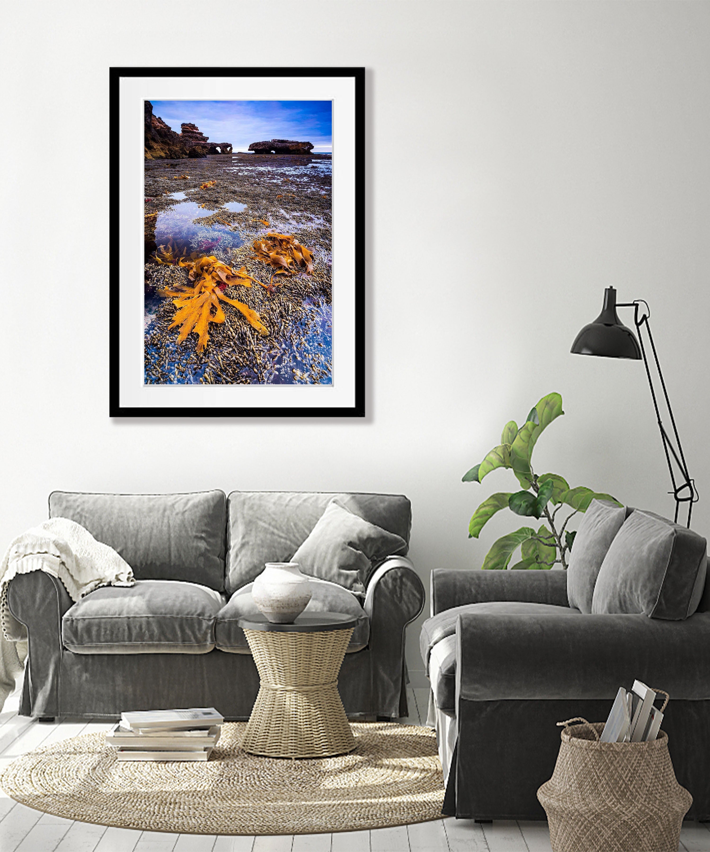 Seaweed, Mornington Peninsula, VIC