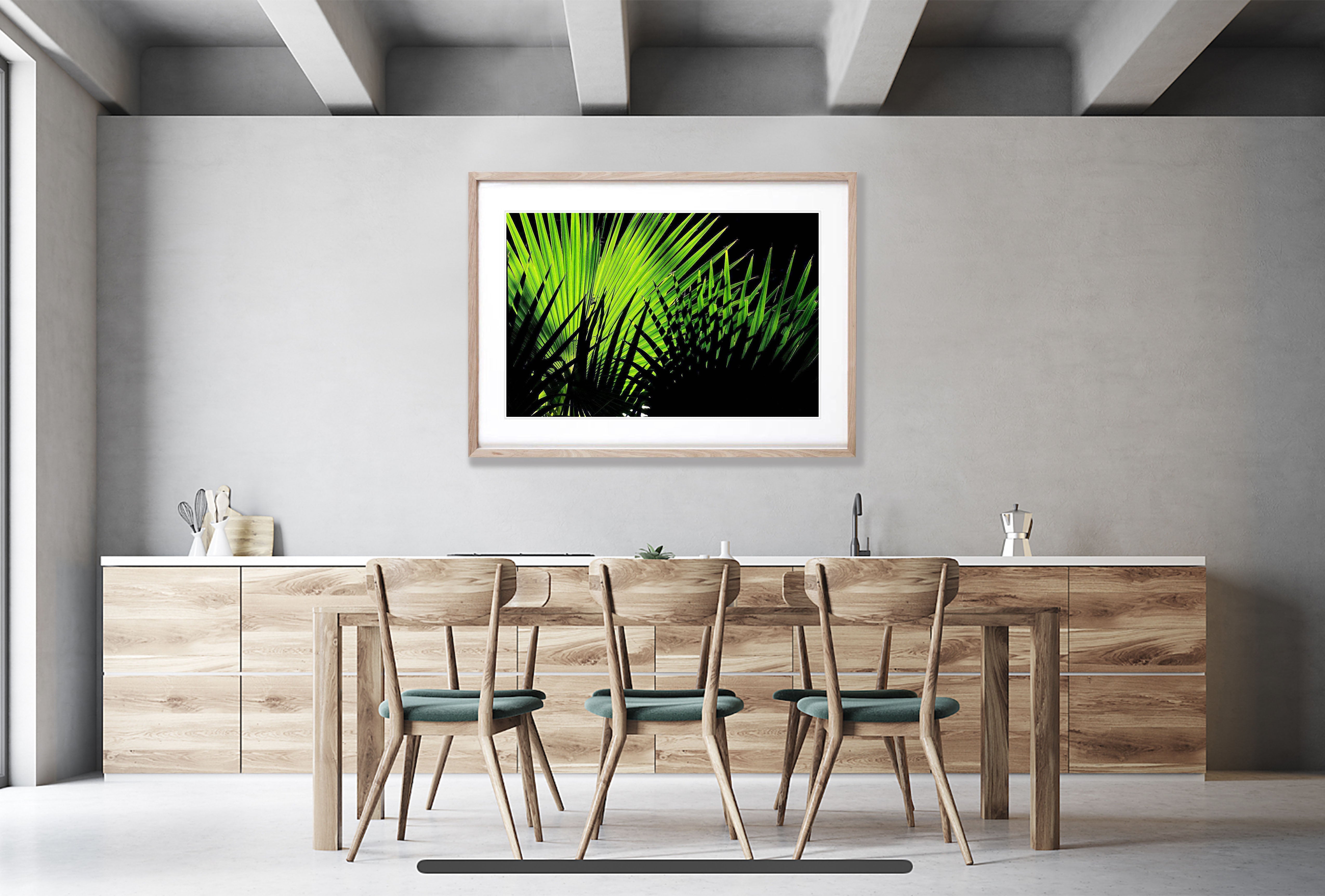 Secluded Light - The Kimberley, WA