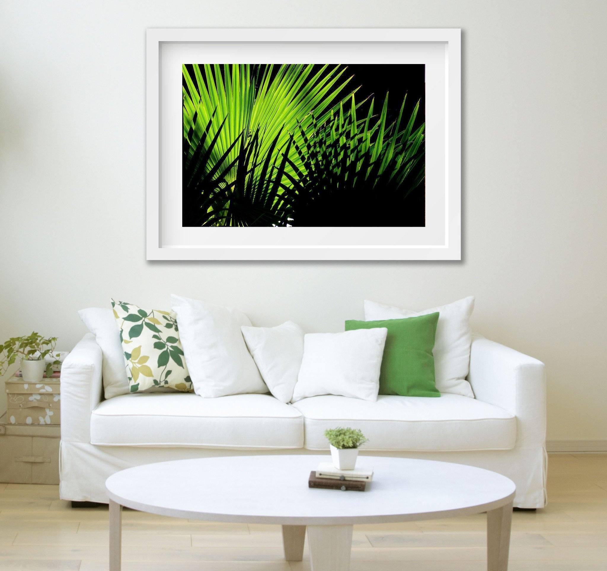 Secluded Light-Tom-Putt-Landscape-Prints