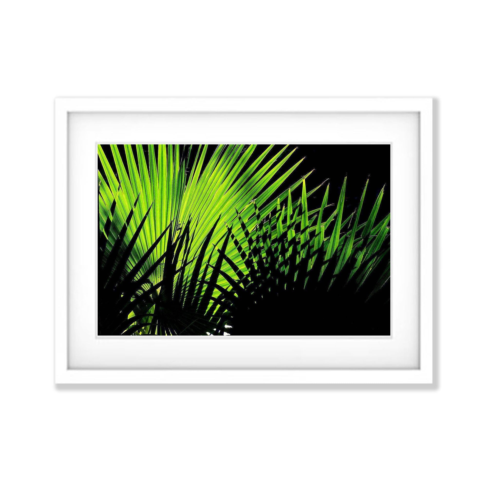 Secluded Light - The Kimberley, WA