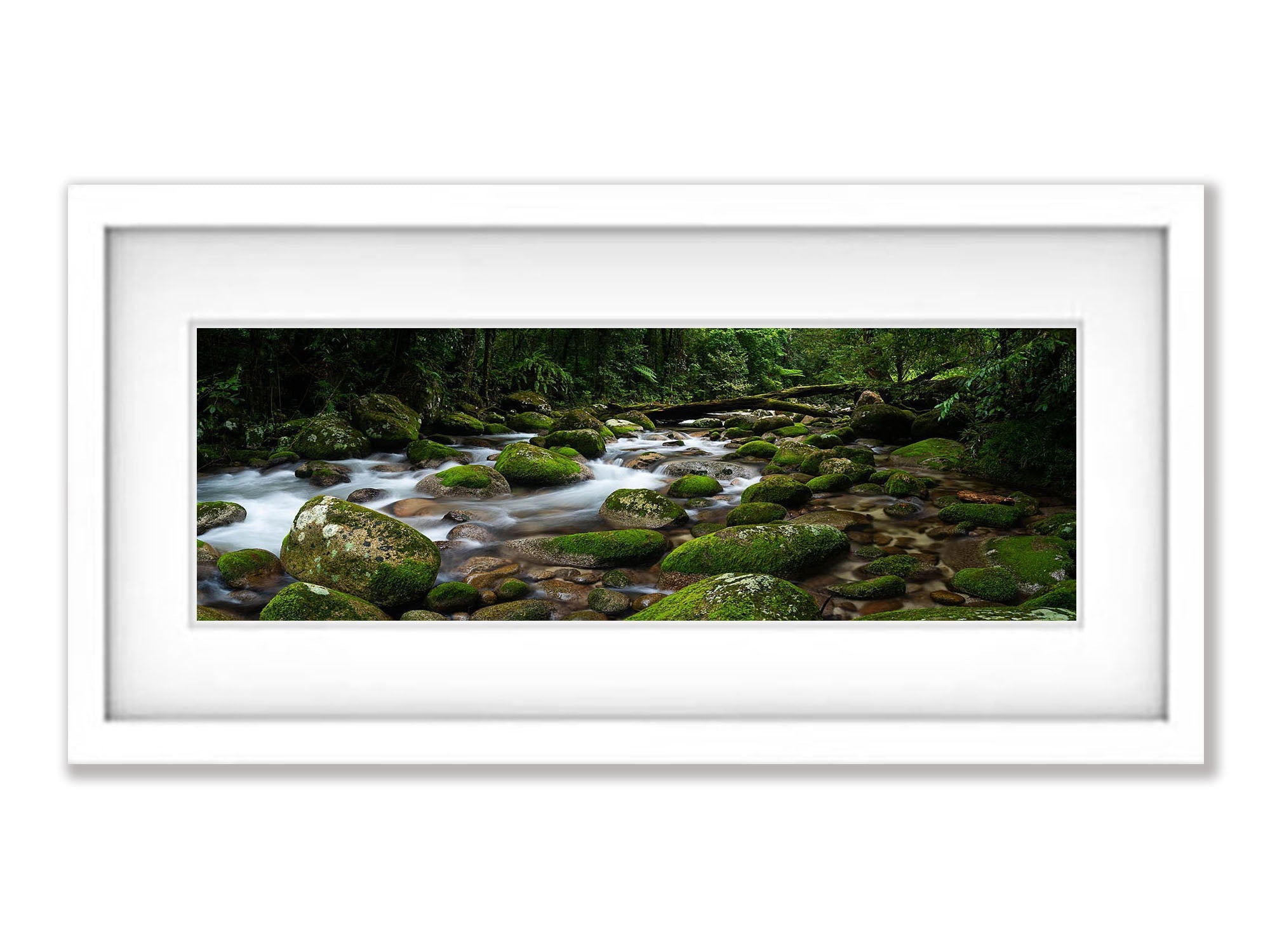 Secluded Rainforest Stream, Far North Queensland