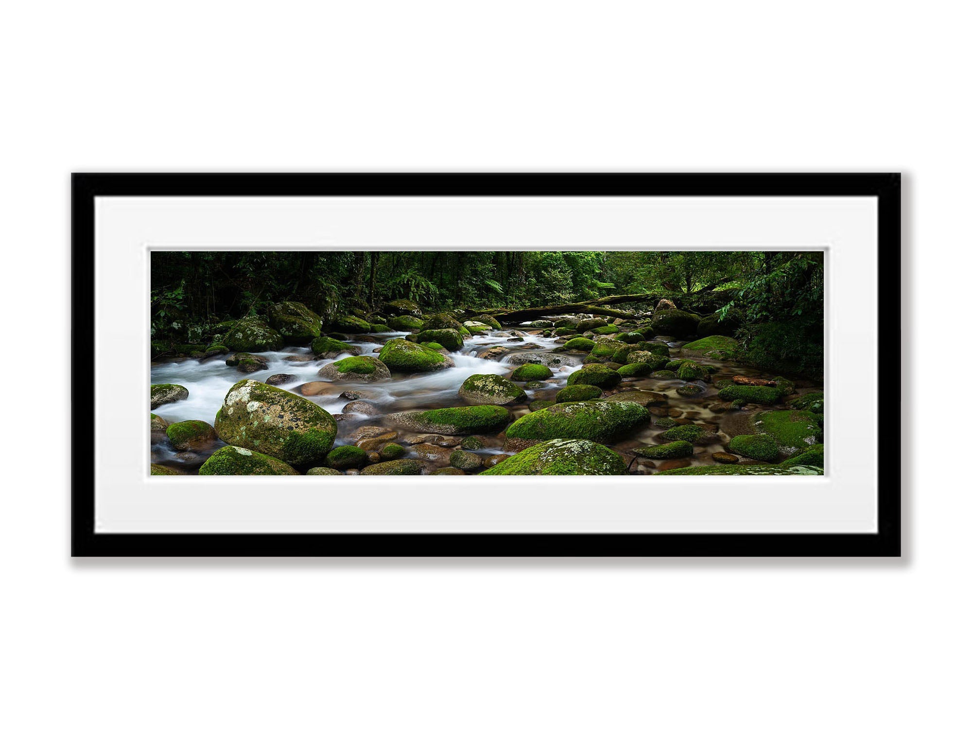 Secluded Rainforest Stream, Far North Queensland