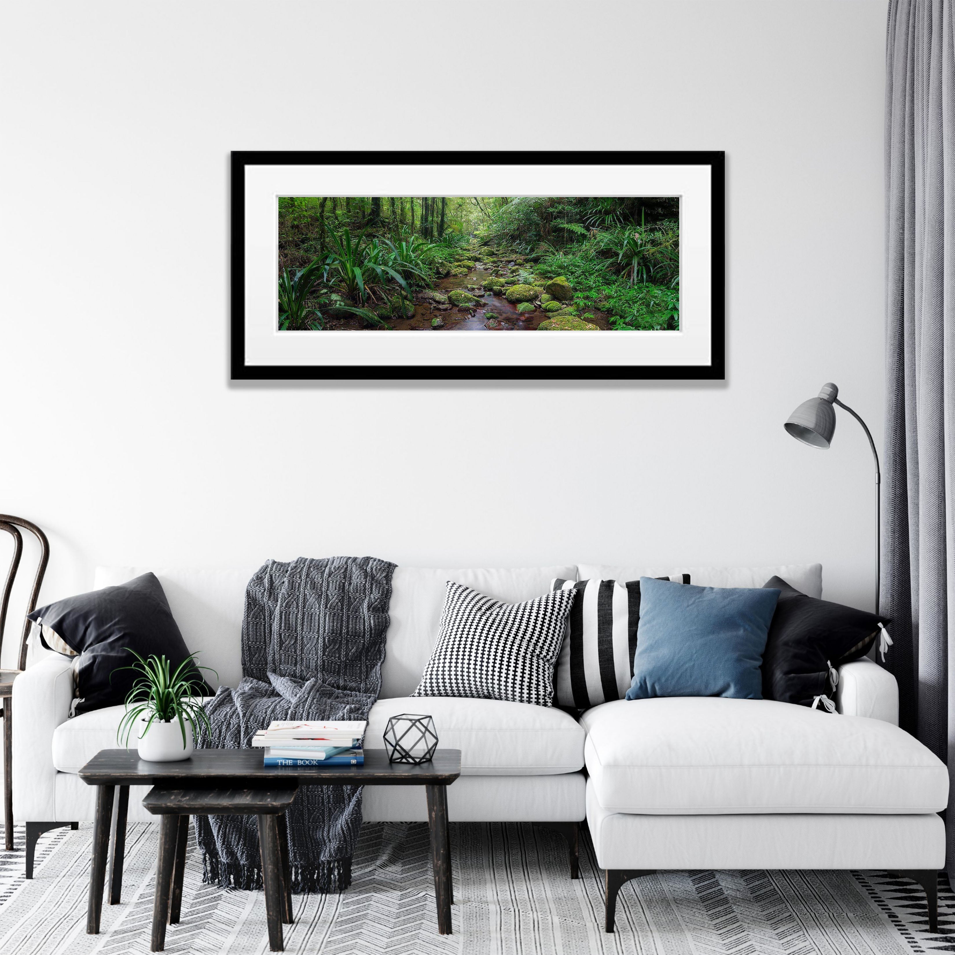 Secluded Stream - Lamington National Park QLD