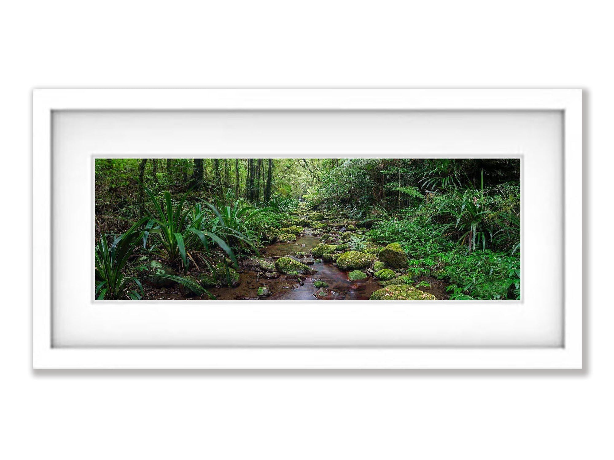 Secluded Stream - Lamington National Park QLD