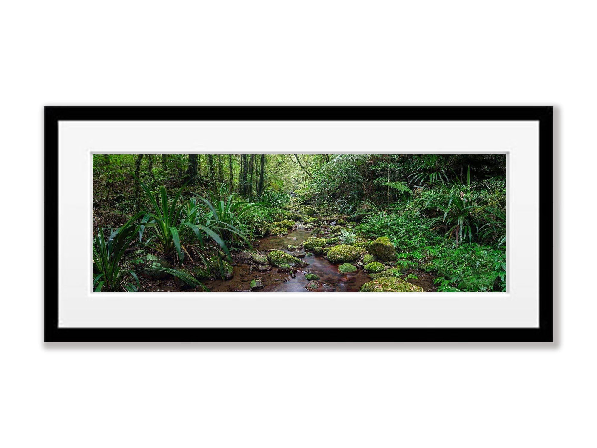 Secluded Stream - Lamington National Park QLD