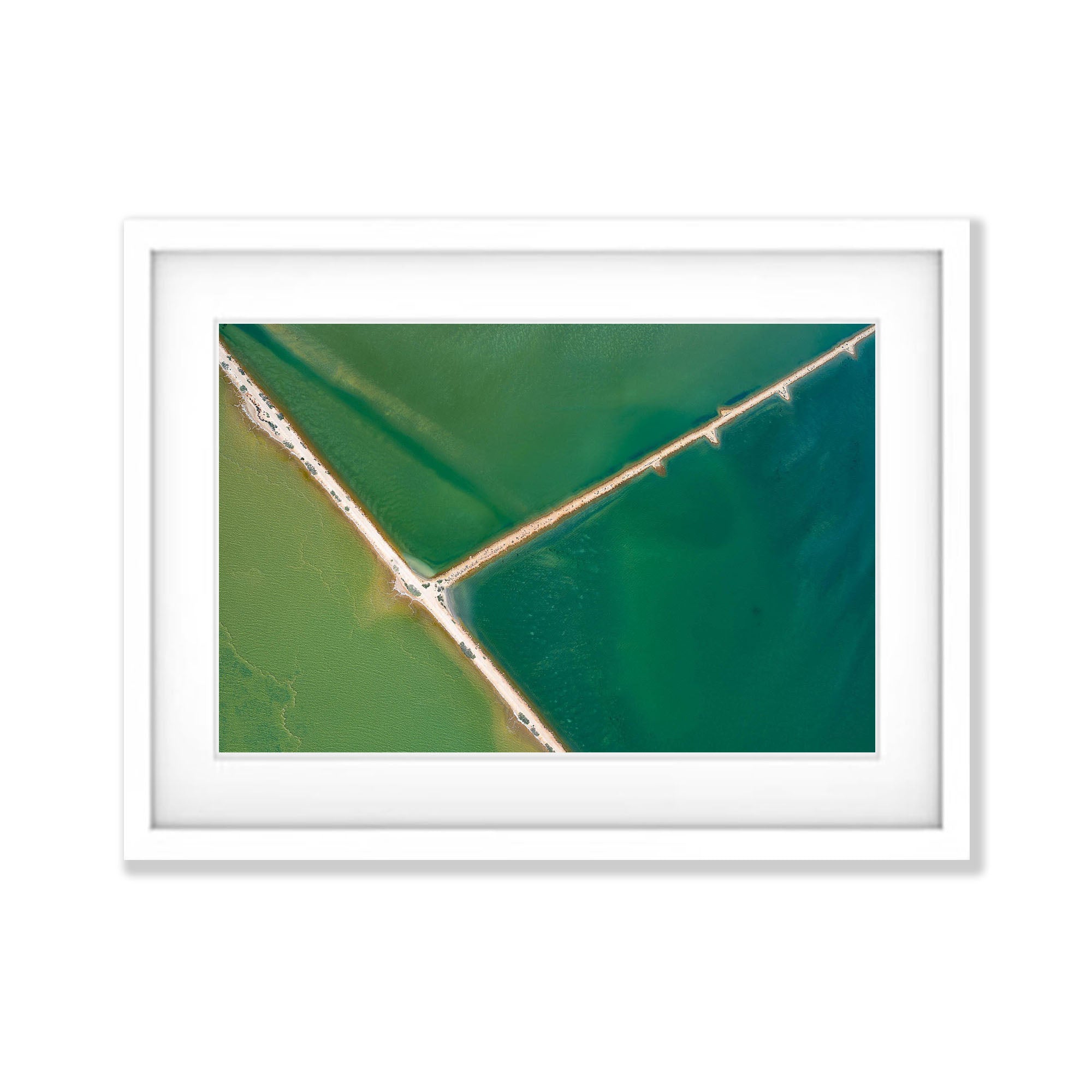 Shades of Green, Shark Bay, WA