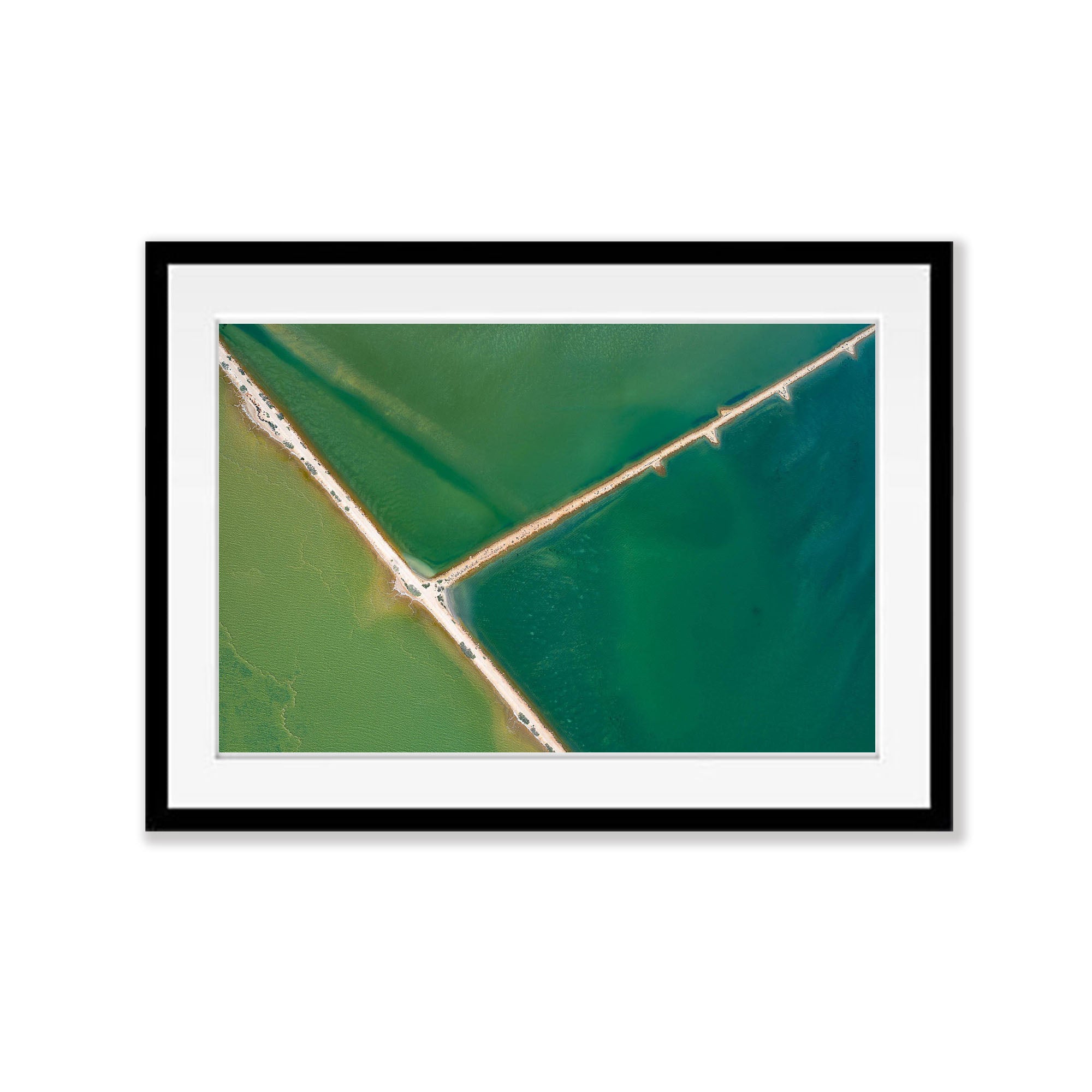 Shades of Green, Shark Bay, WA