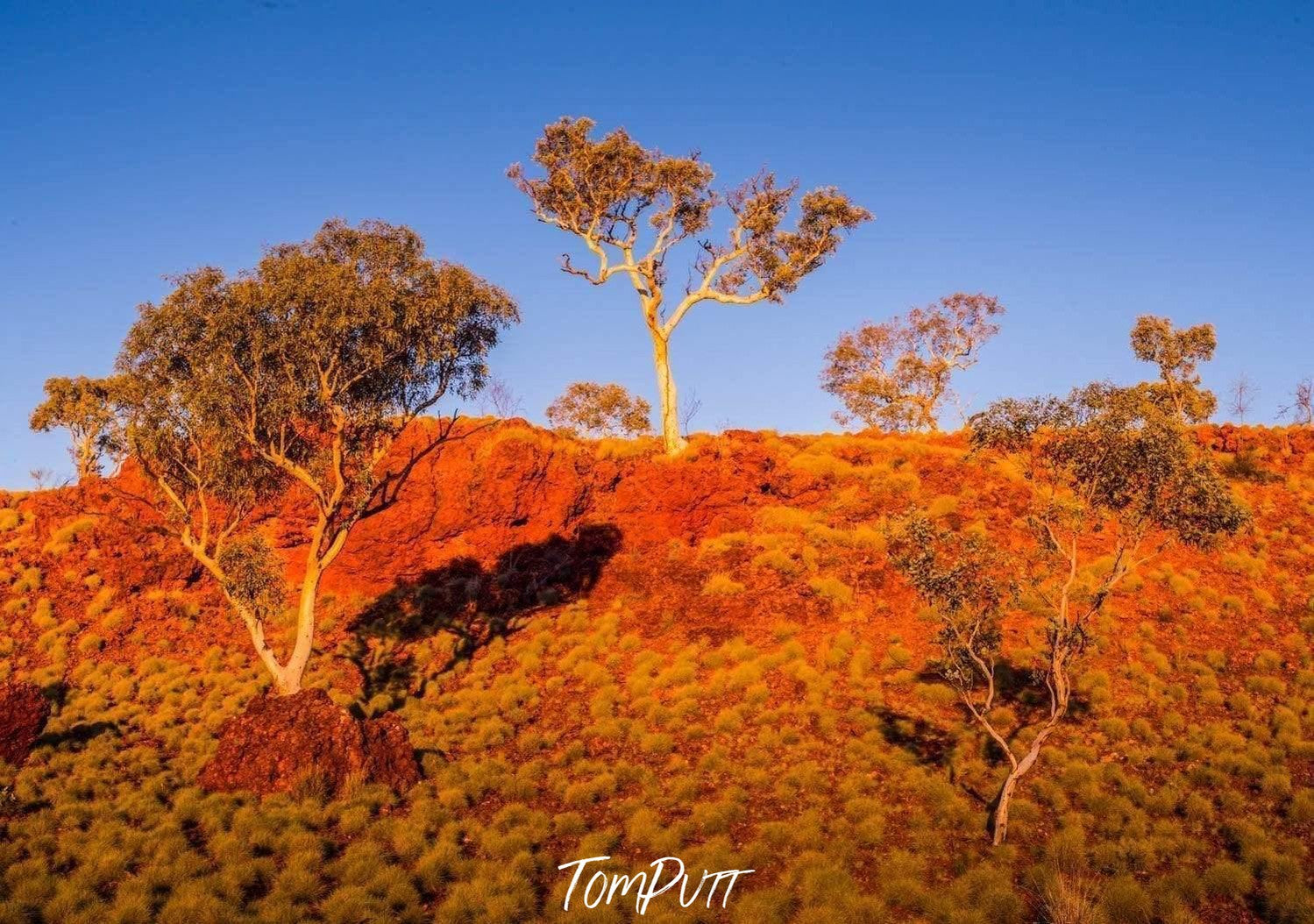 An orange mound with some small trees over, Snappy Escarpment - Karijini, The Pilbara