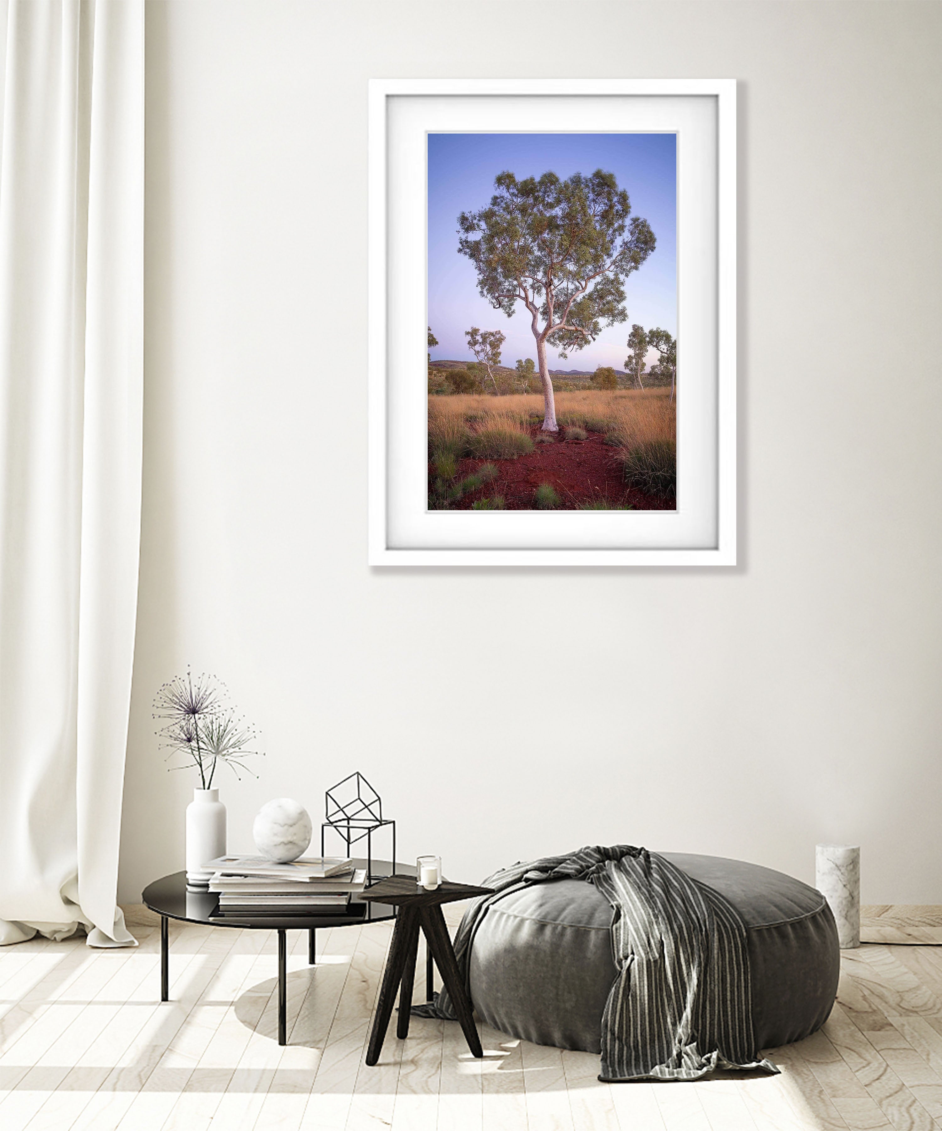 Snappy Gum - Karijini, The Pilbara