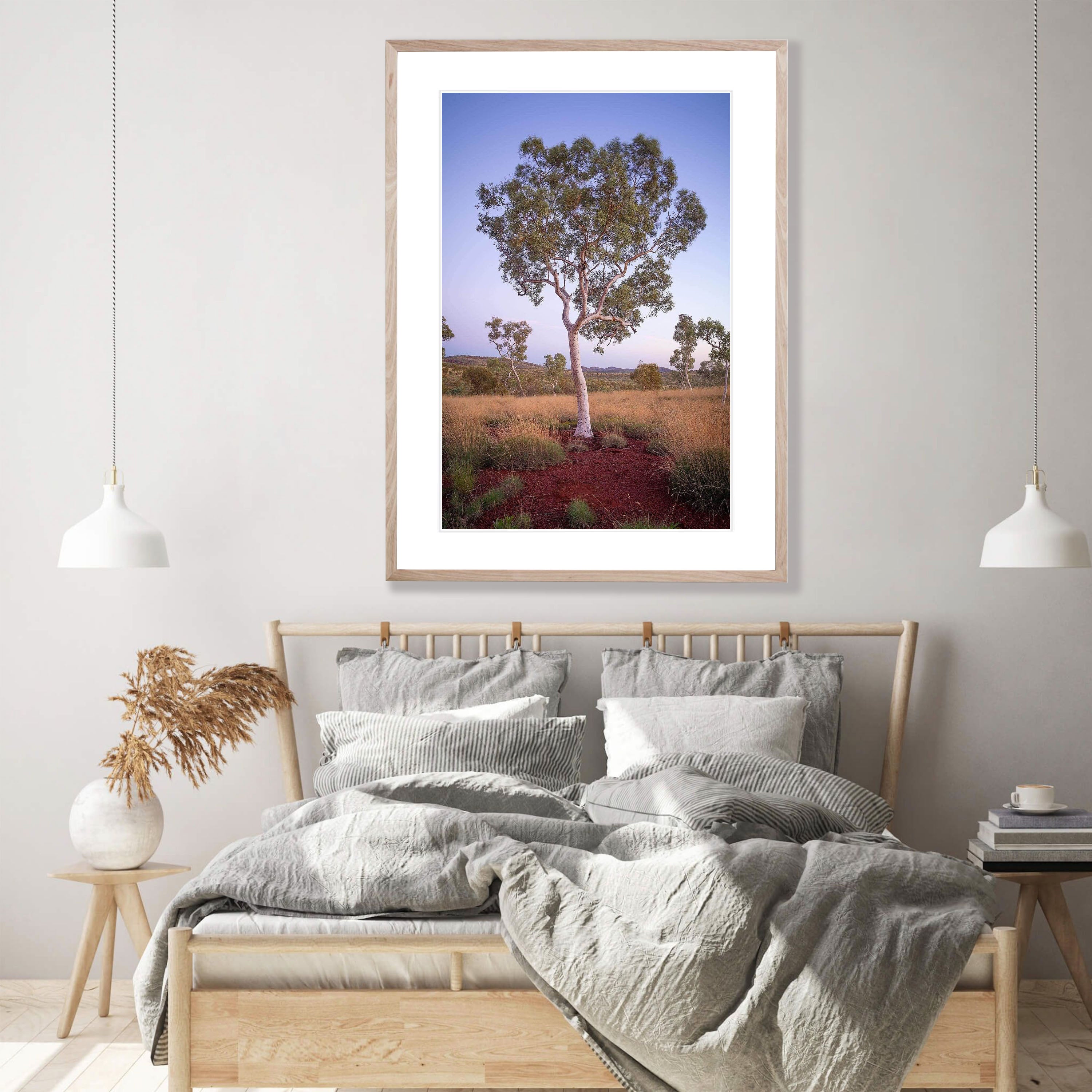 Snappy Gum - Karijini, The Pilbara