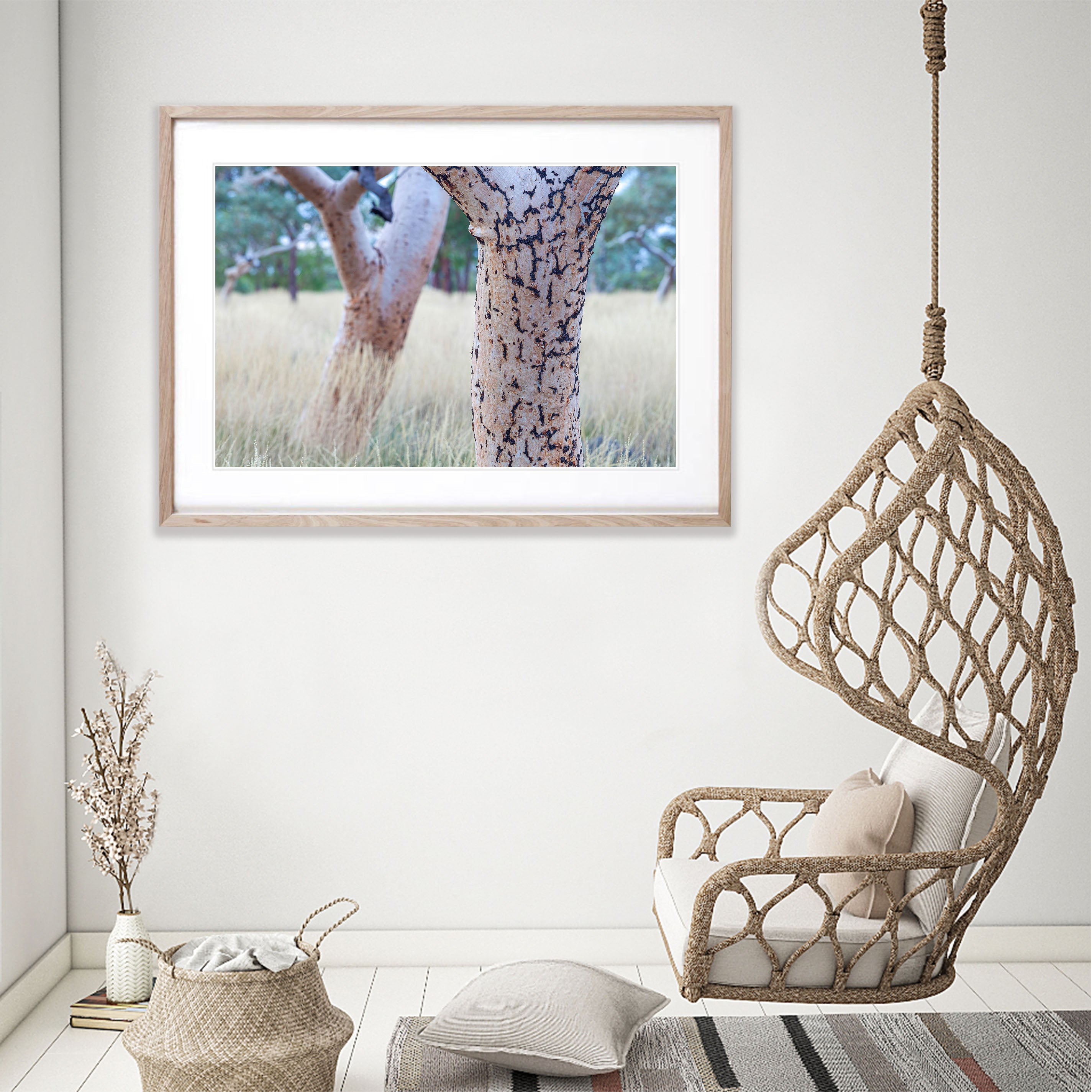 Snappy Gum Tree Trunks, Karijini, The Pilbara