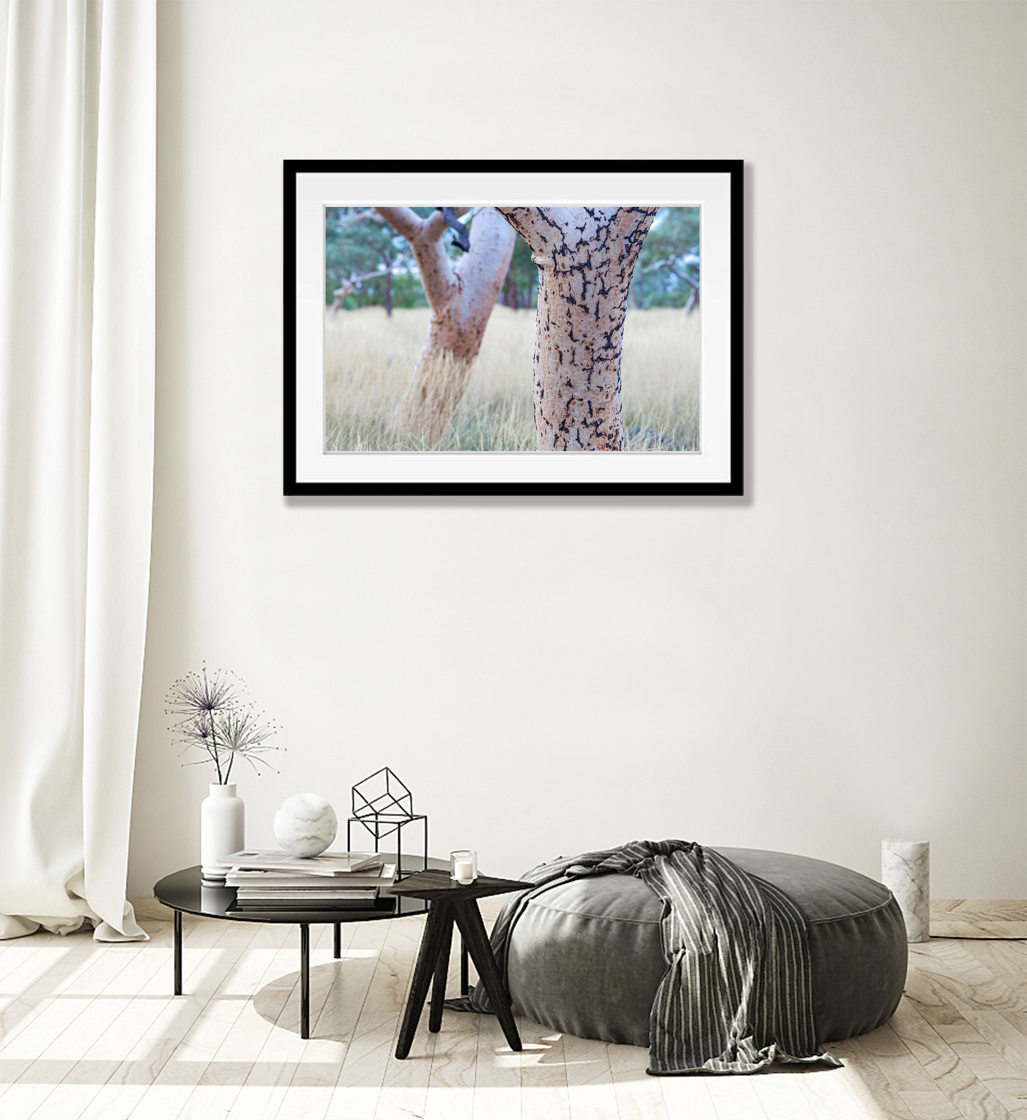 Snappy Gum Tree Trunks, Karijini, The Pilbara