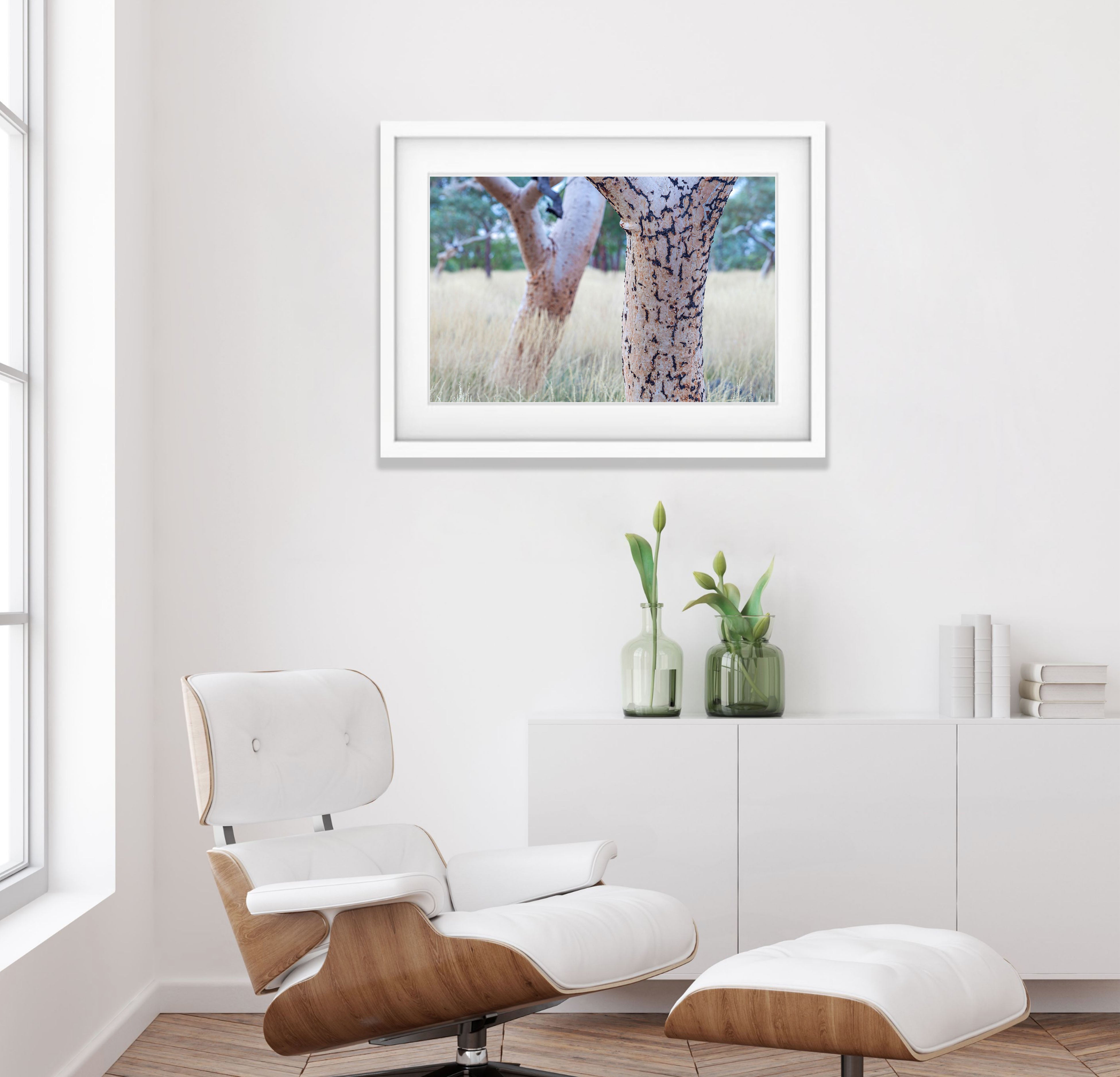 Snappy Gum Tree Trunks, Karijini, The Pilbara