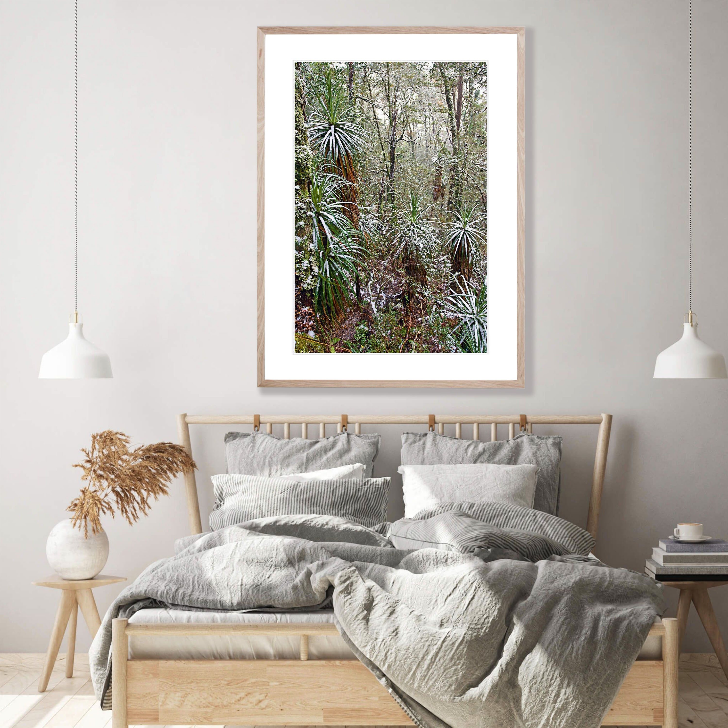 Snow-Covered Pandani, Cradle Mountain, Tasmania