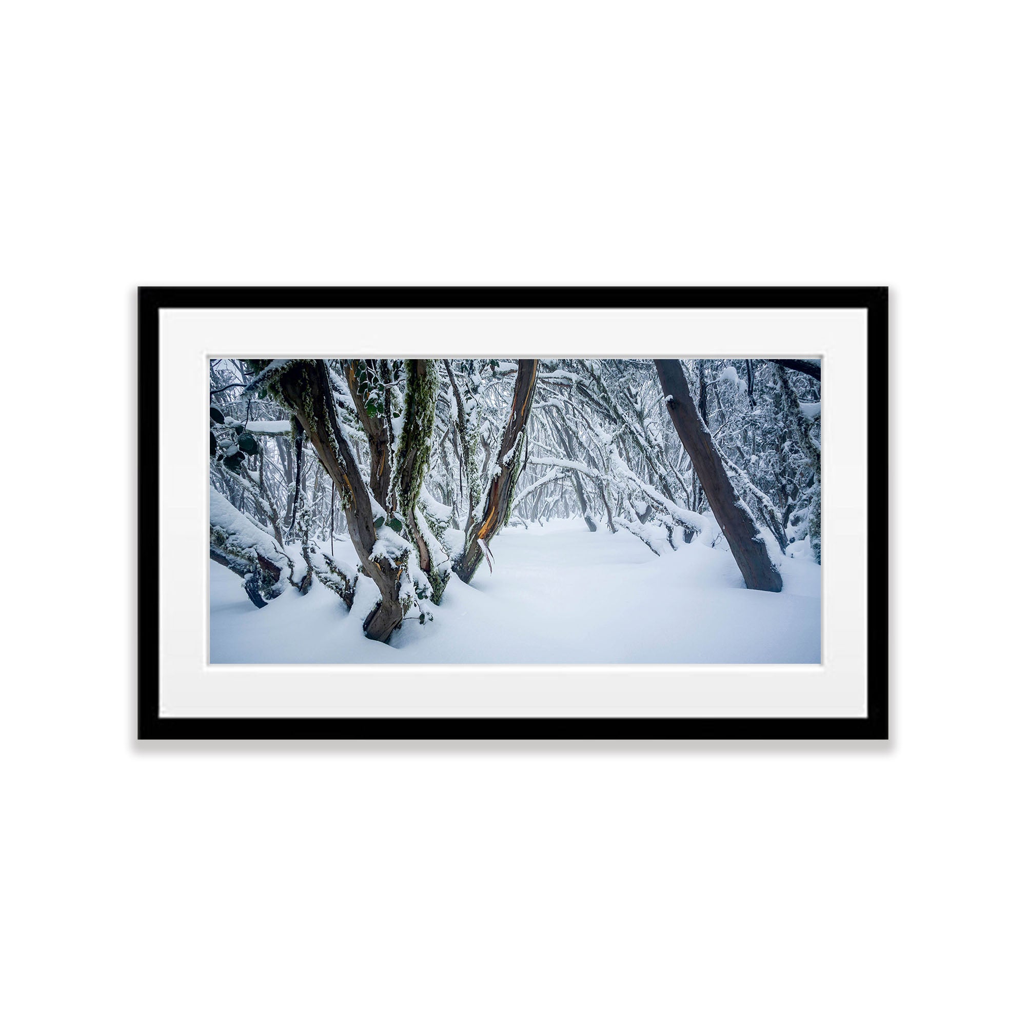 Snow Forest, Mount Buller