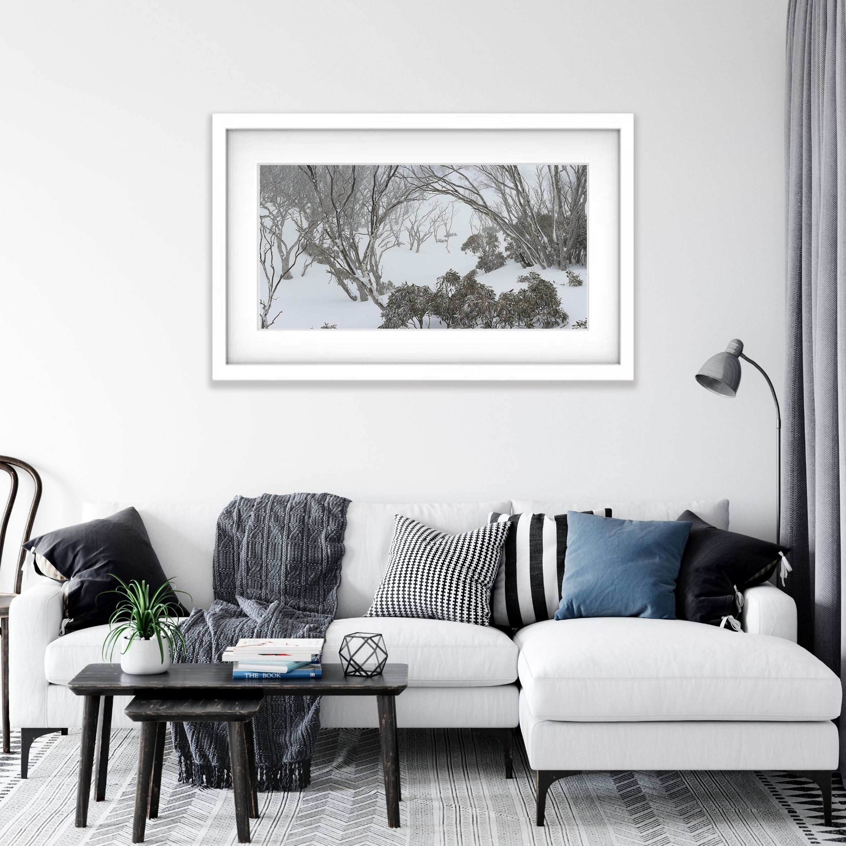 Snow Gum Forest - Snowy Mountains NSW