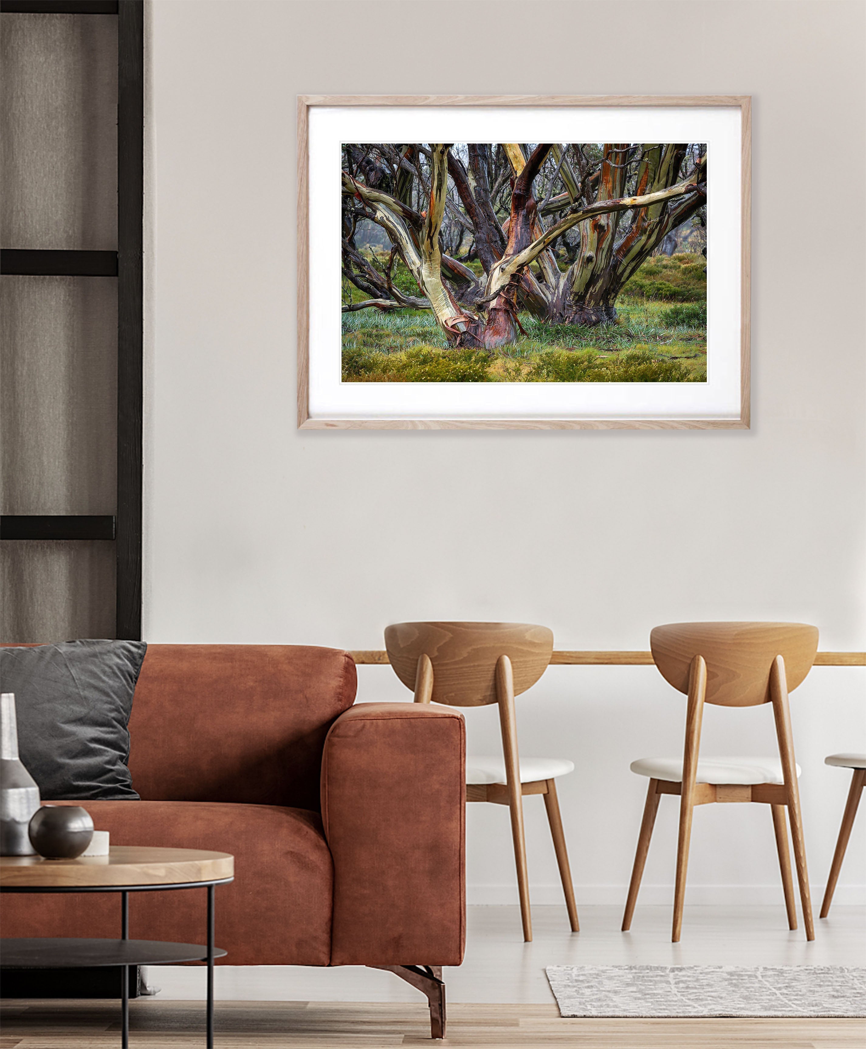 Snow Gums, Bogong High Plains - VIC