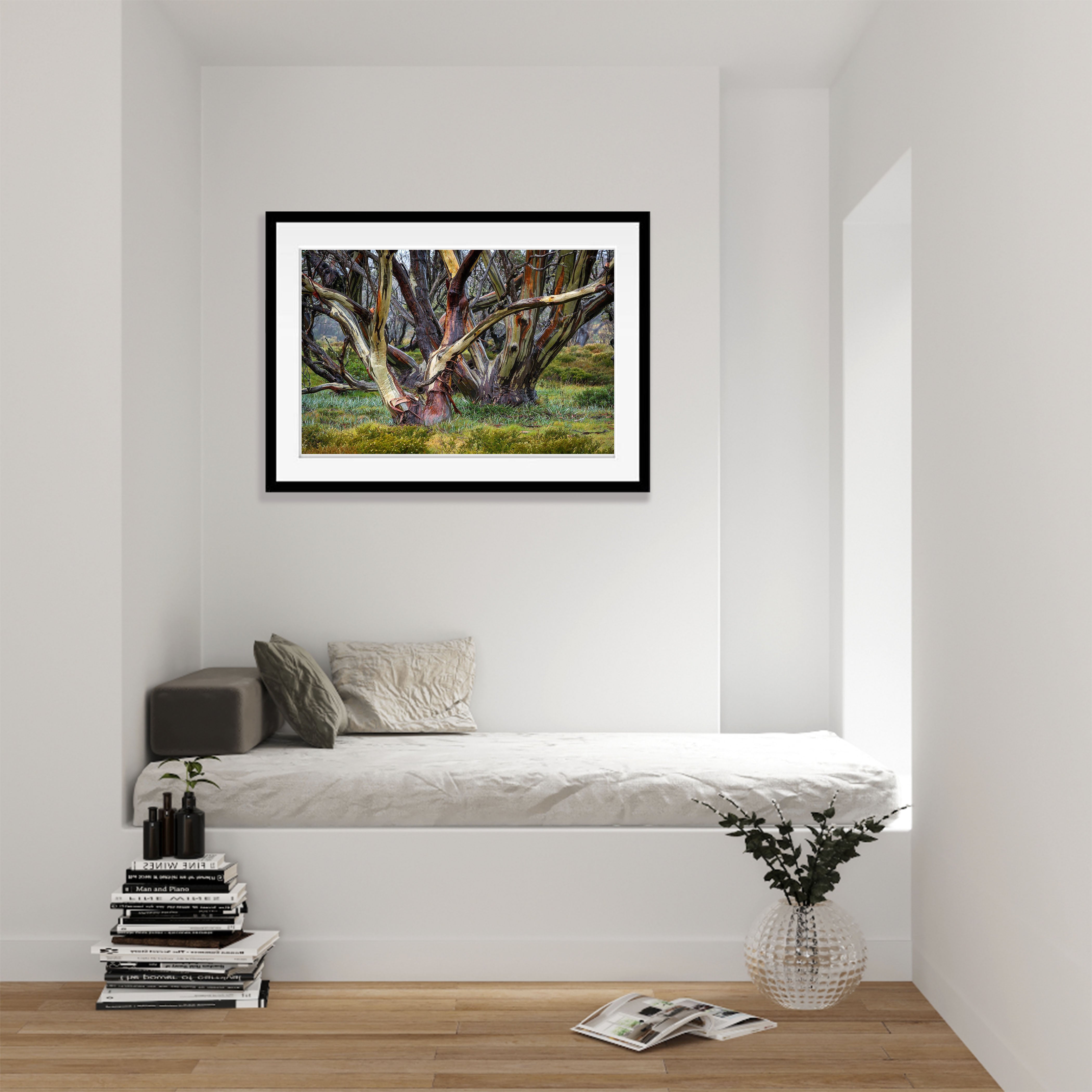 Snow Gums, Bogong High Plains - VIC