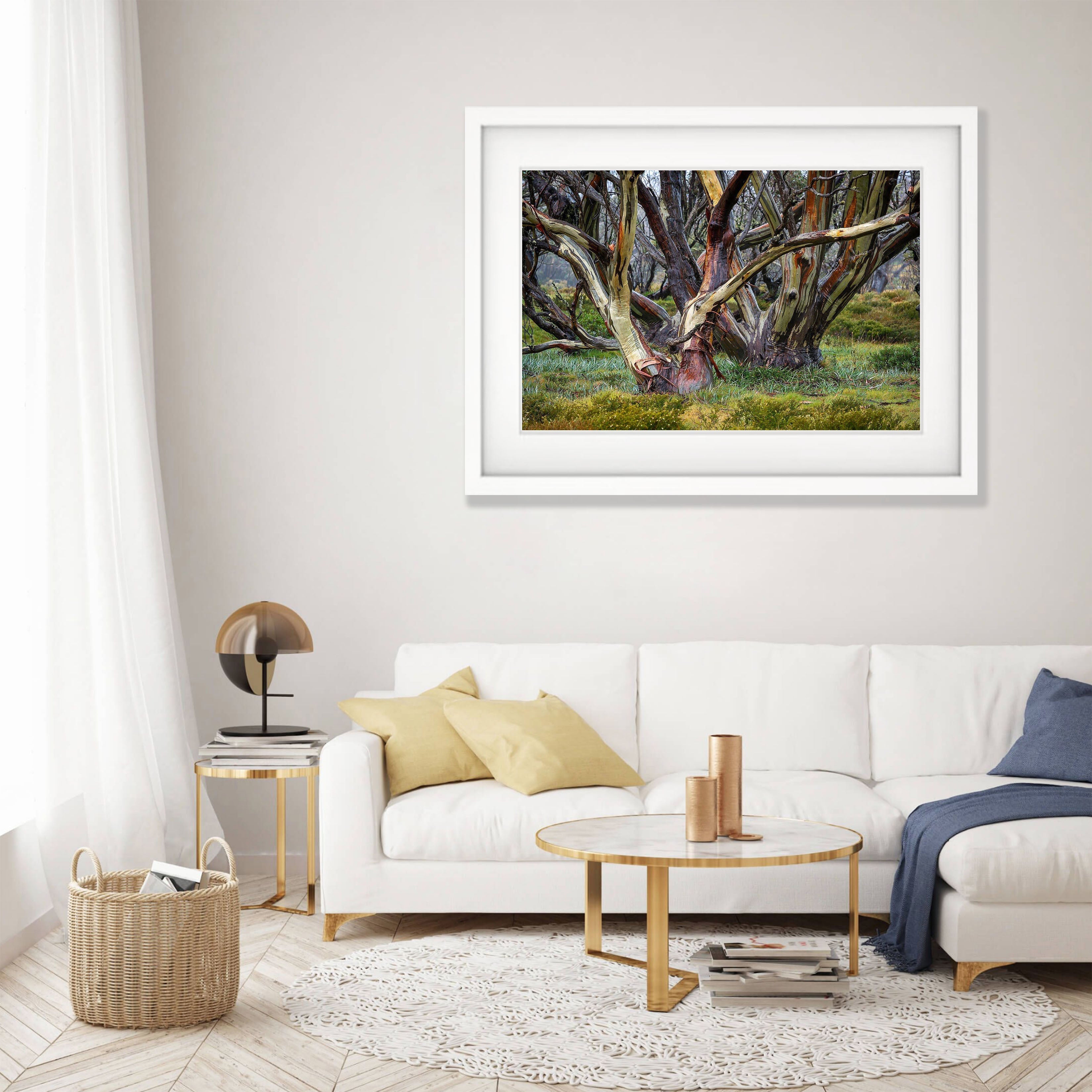 Snow Gums, Bogong High Plains - VIC