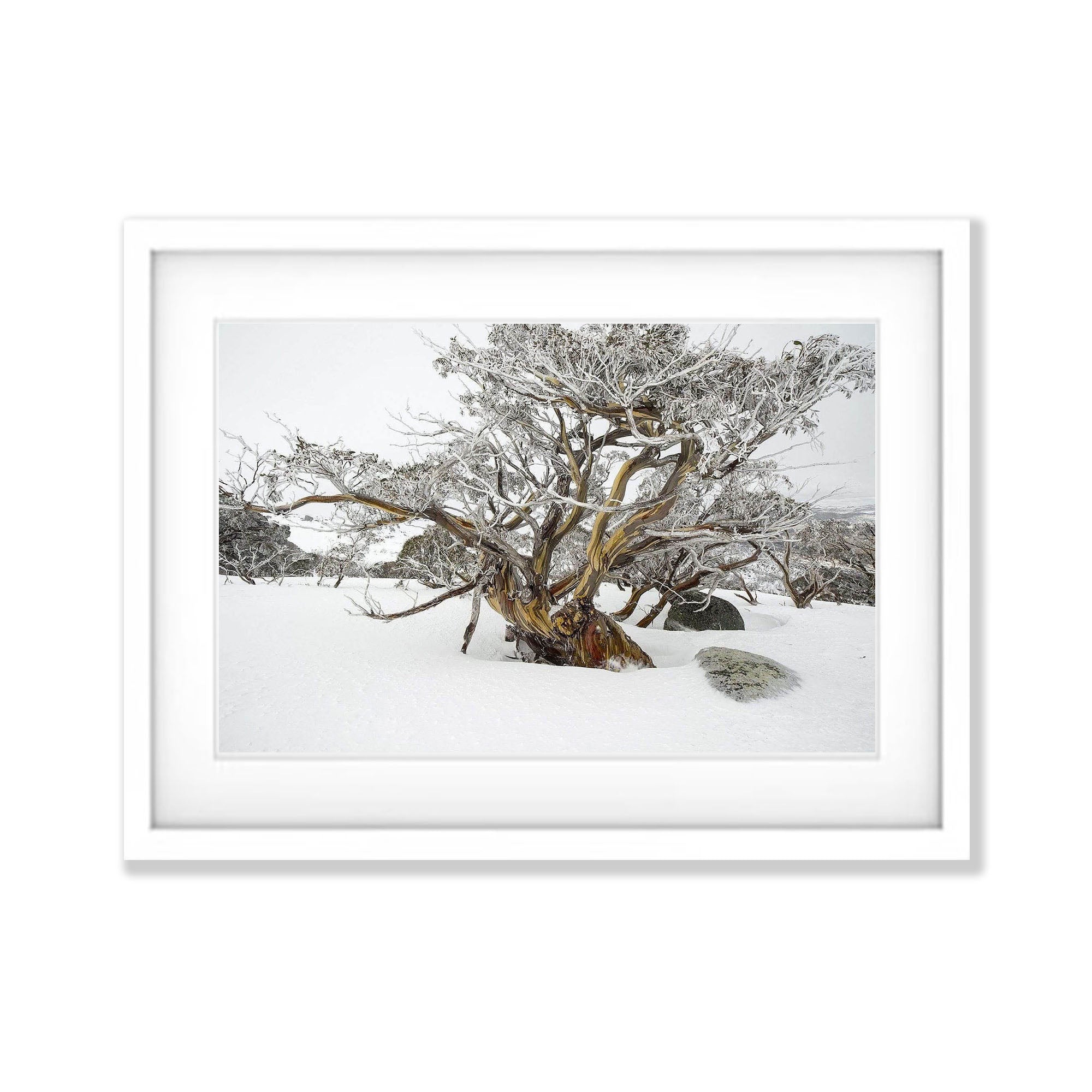 Snowy Landscape - Snowy Mountains NSW