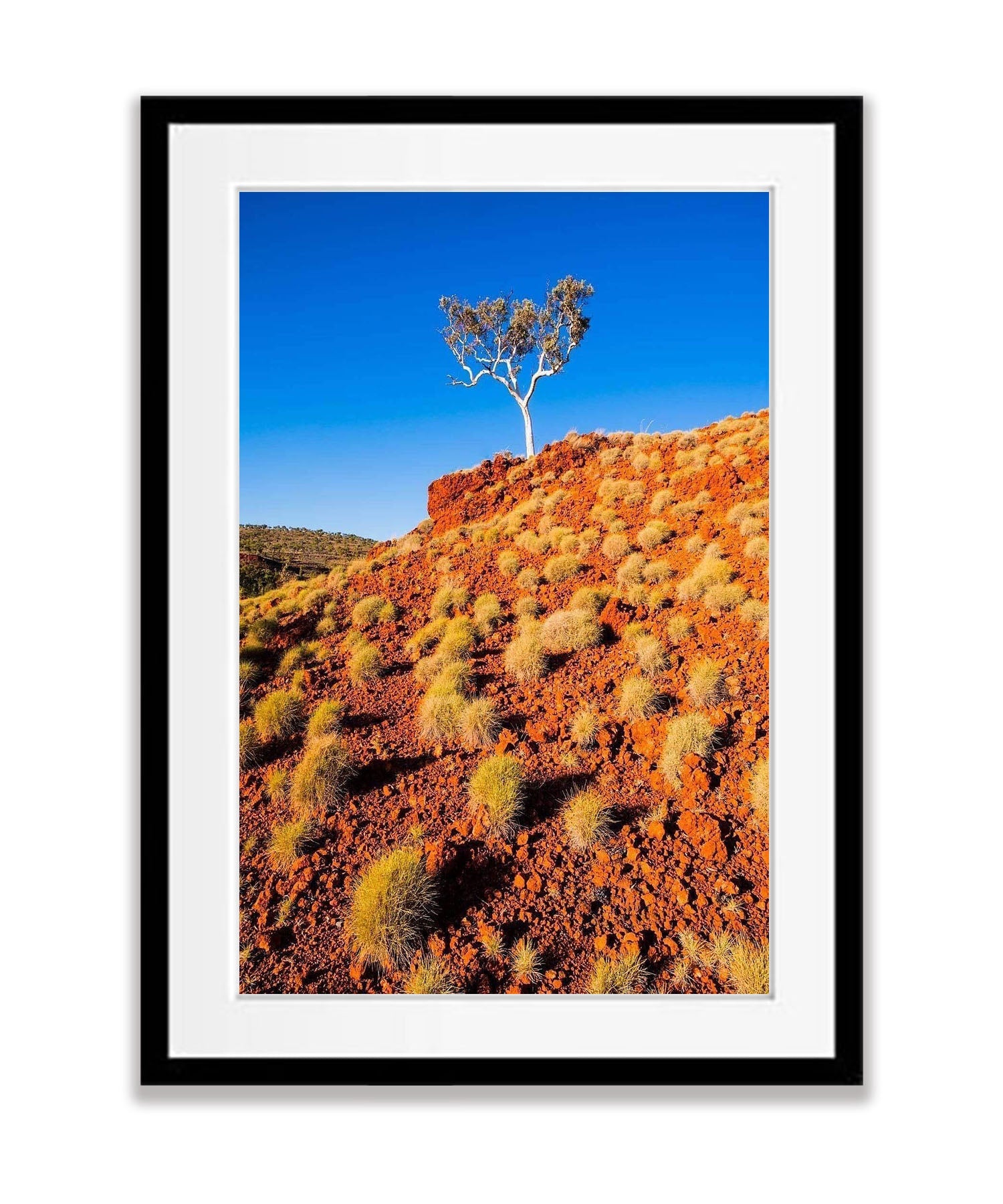 Spinifex - Karijini, The Pilbara