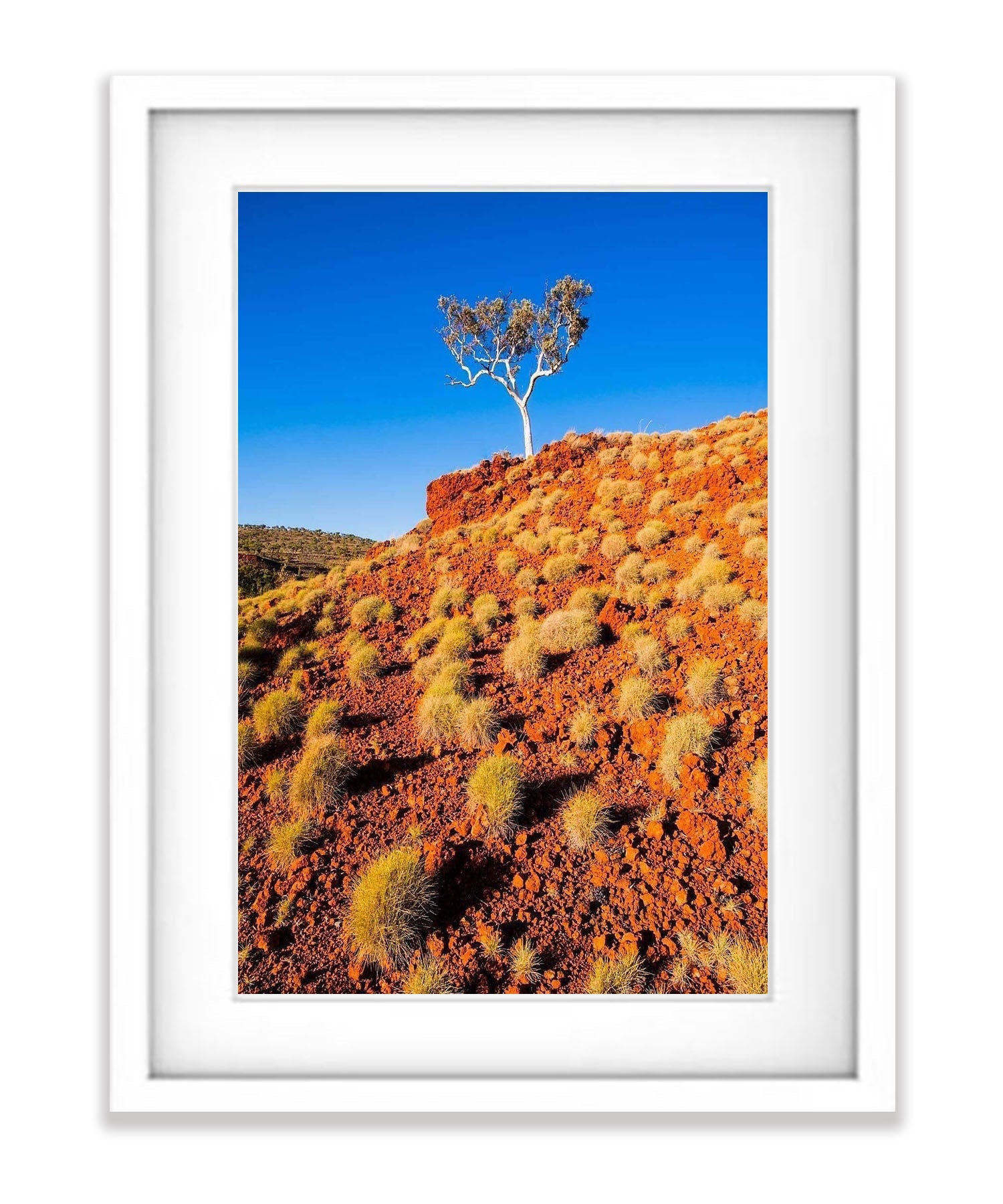 Spinifex - Karijini, The Pilbara