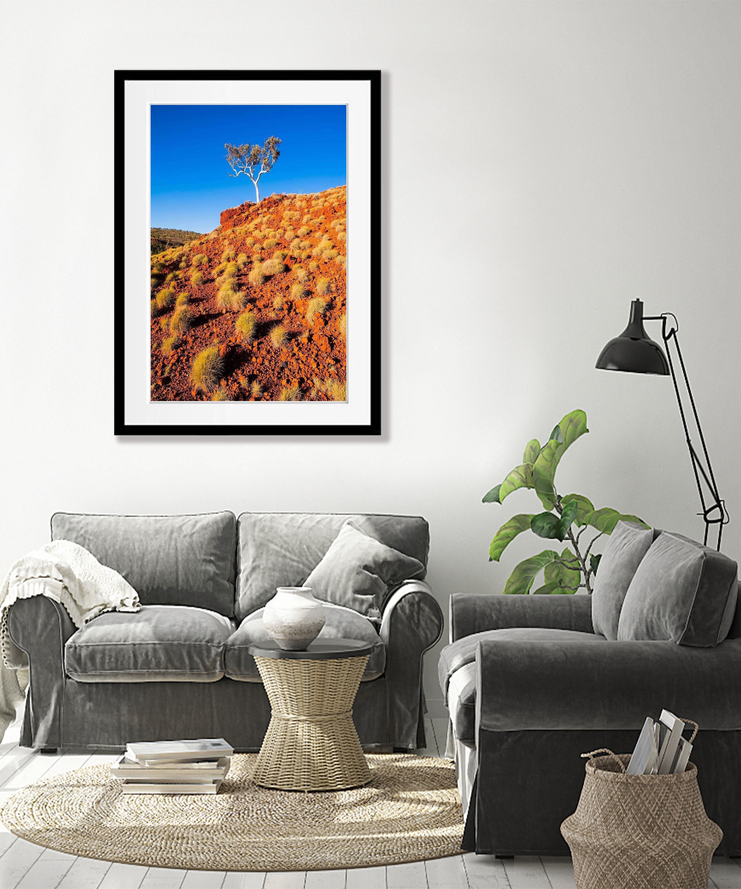 Spinifex - Karijini, The Pilbara