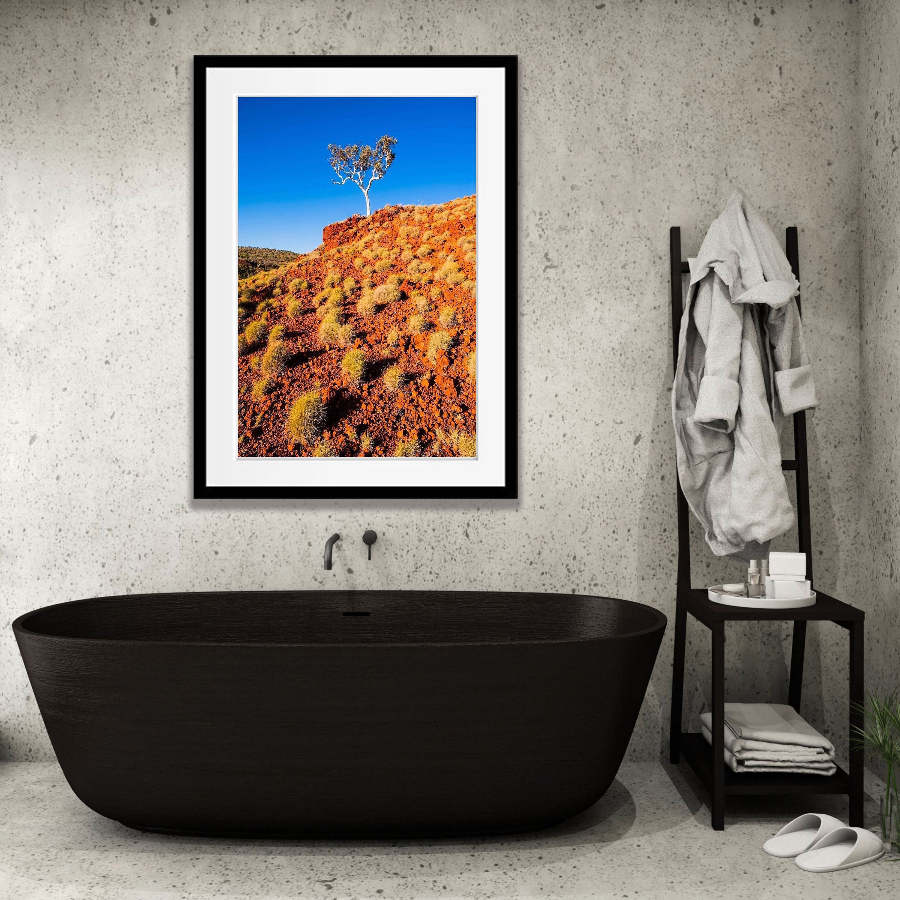 Spinifex - Karijini, The Pilbara