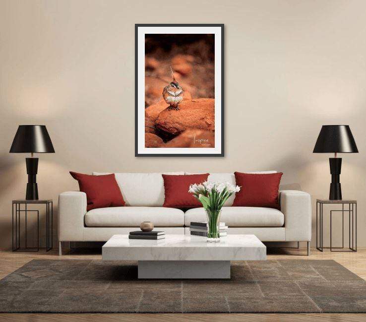 Spinifex Pigeon-Tom-Putt-Landscape-Prints