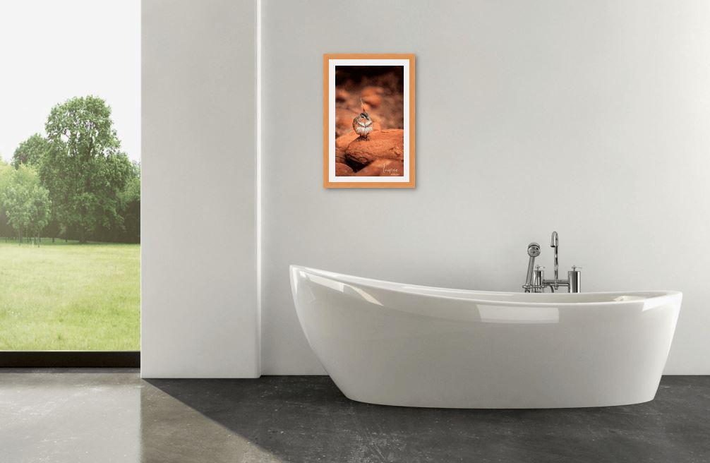 Spinifex Pigeon-Tom-Putt-Landscape-Prints