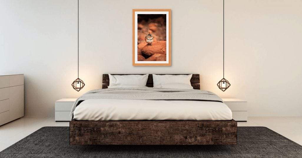 Spinifex Pigeon-Tom-Putt-Landscape-Prints