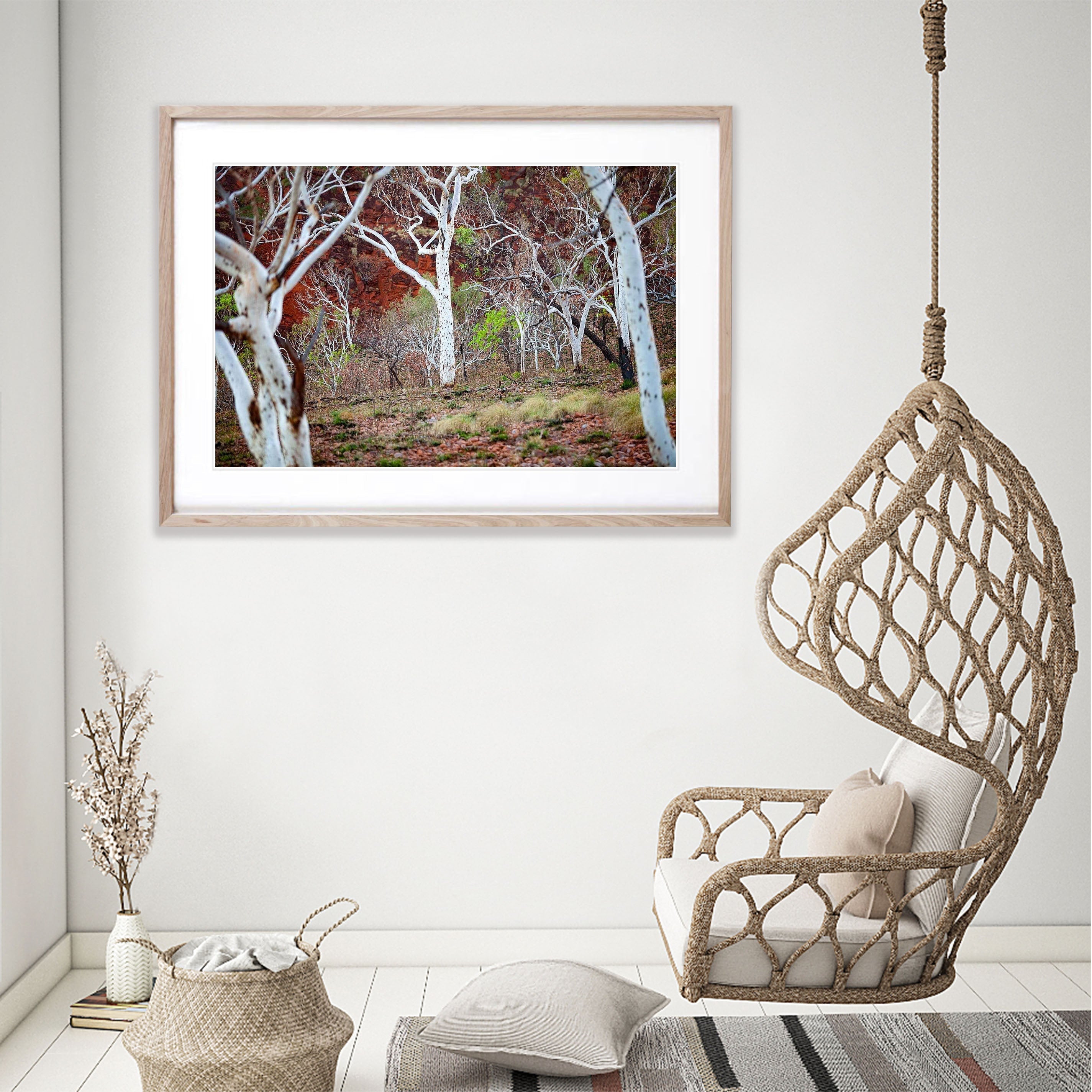 Spotted Gum - The Kimberley, WA